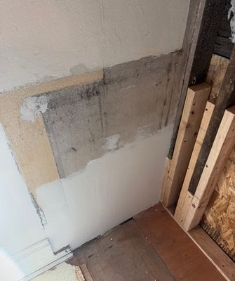 Dry Rot Repairs