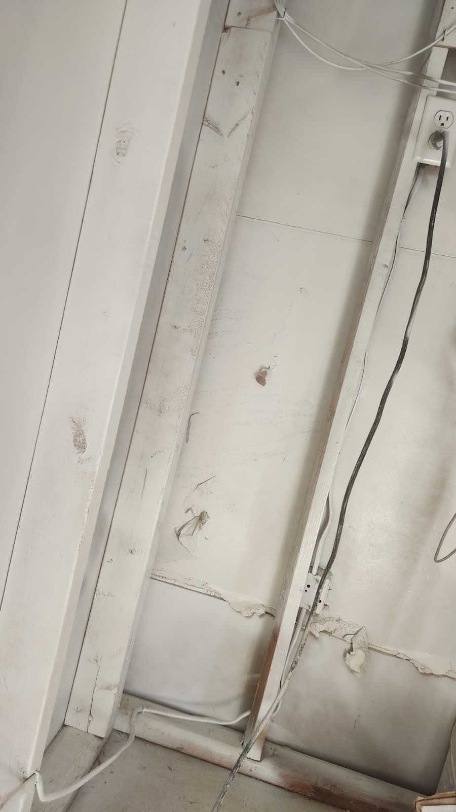 Attic Mold Remediation in Montville, NJ by Pure Service Pro, LLC