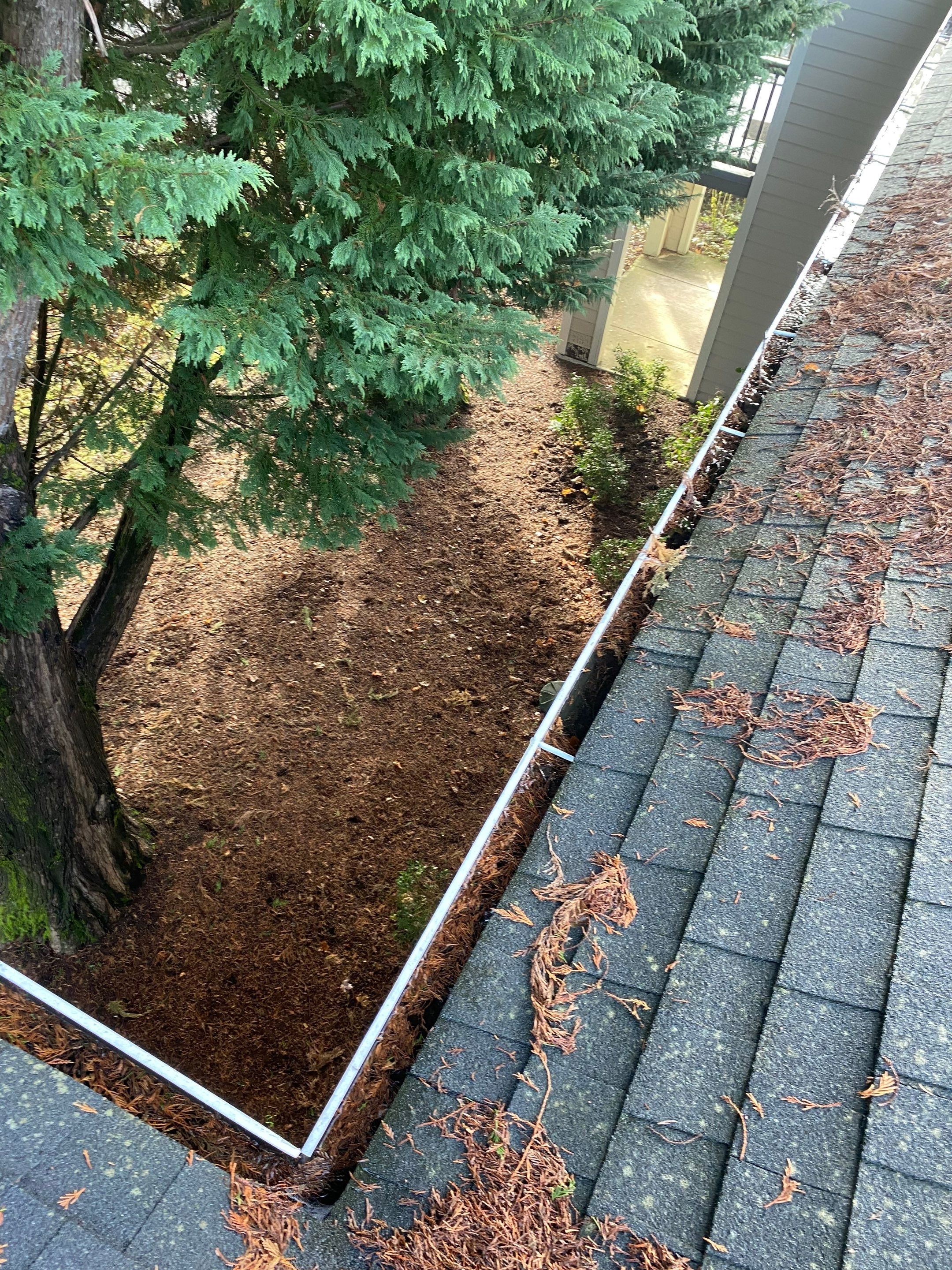 Commercial gutter cleaning vancouver before photo with filled gutters