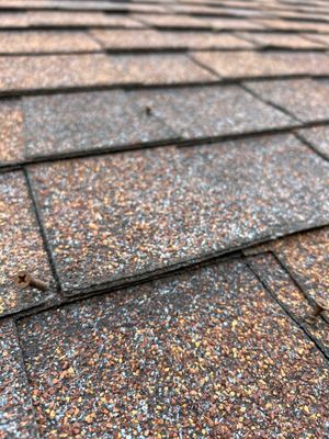 Turtle Shell gutter protection installation in Naperville, IL 60563, photograph 24