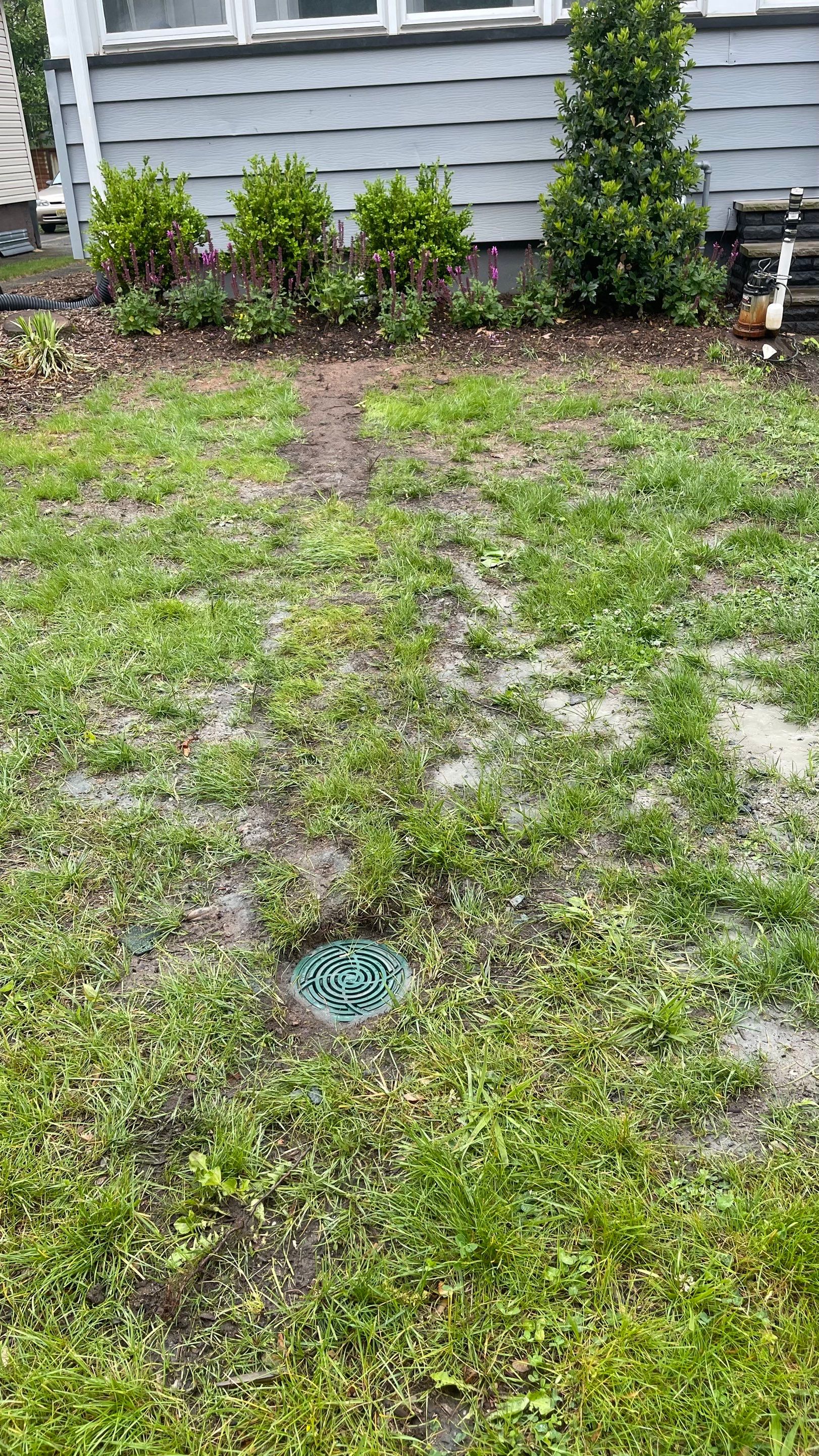 Interior French Drain Job in Lyndhurst, NJ by Pure Service Pro, LLC 