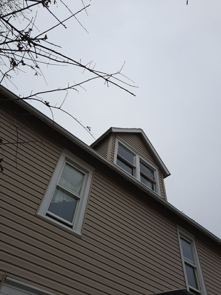 Jessica Evans by Silver Leaf Contracting 