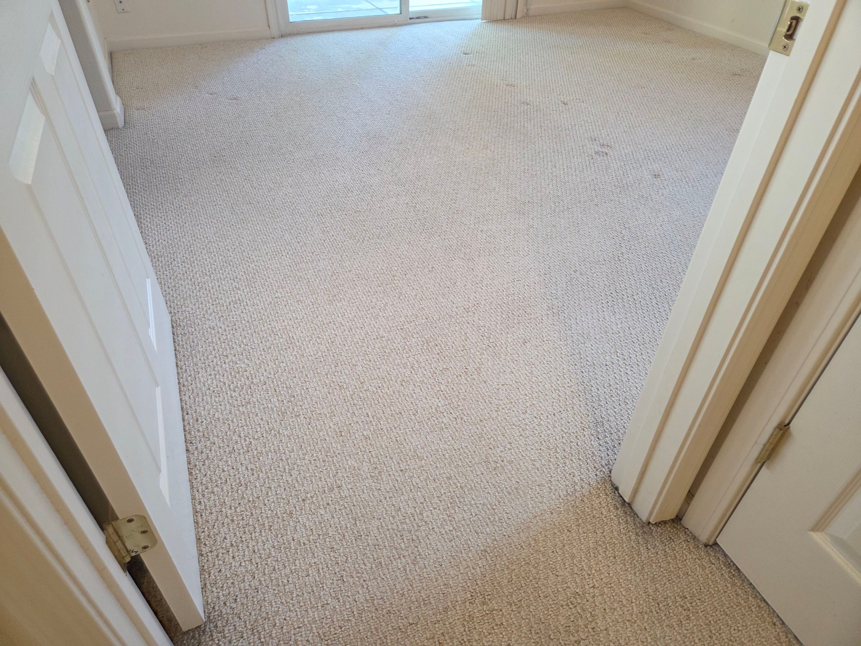 Heavy Carpet Cleaning for a Listing by Ardent Carpet Restore LLC