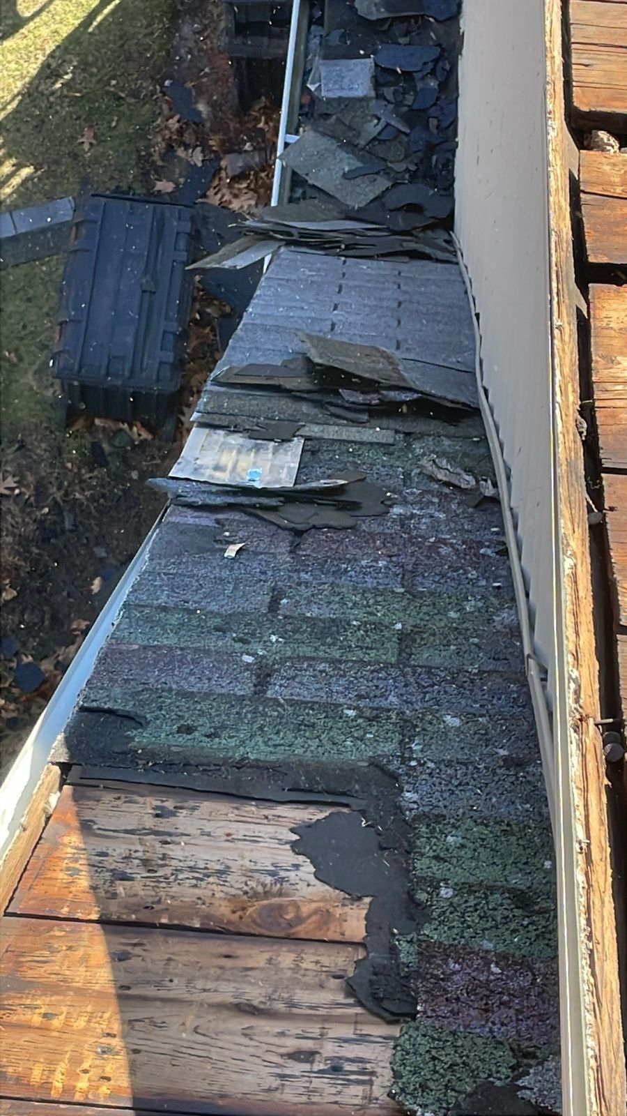 Project in Boston by JOHNNYS PRO