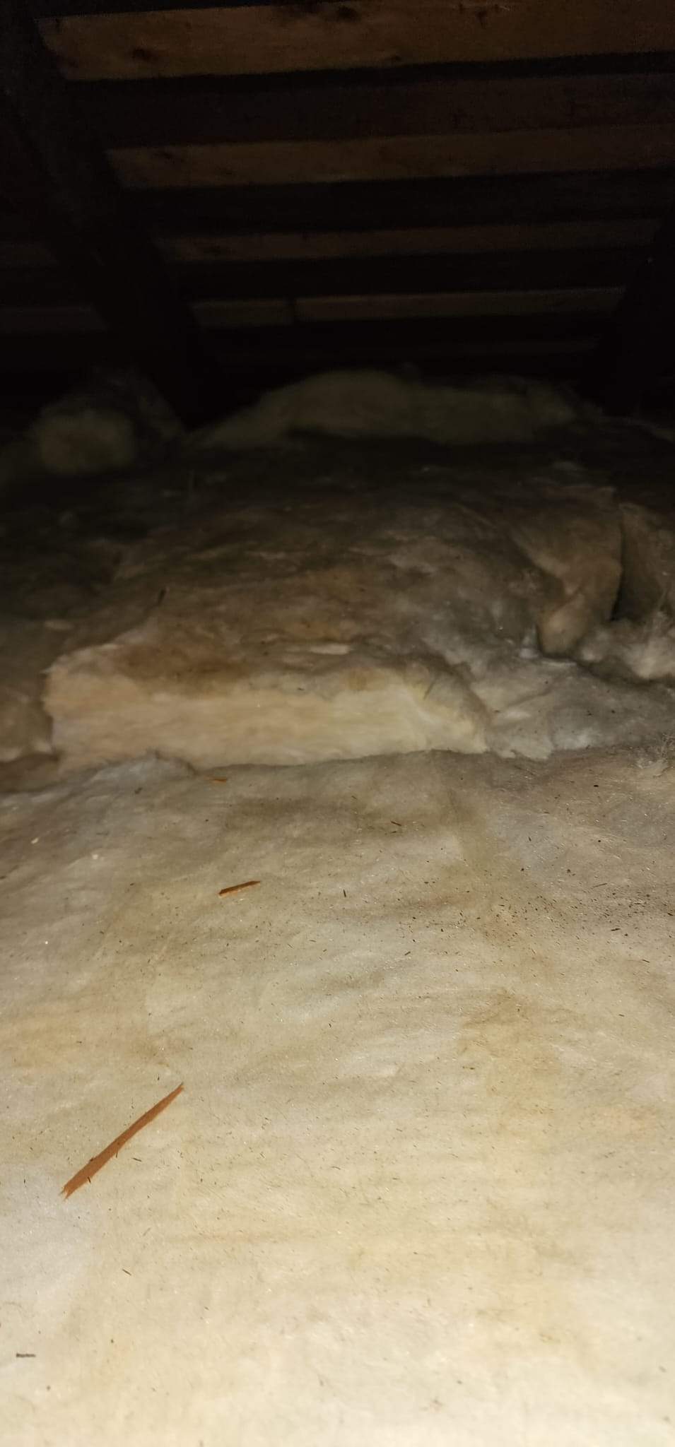 Project by Advanced Attic Solutions by Advanced Attic Solutions