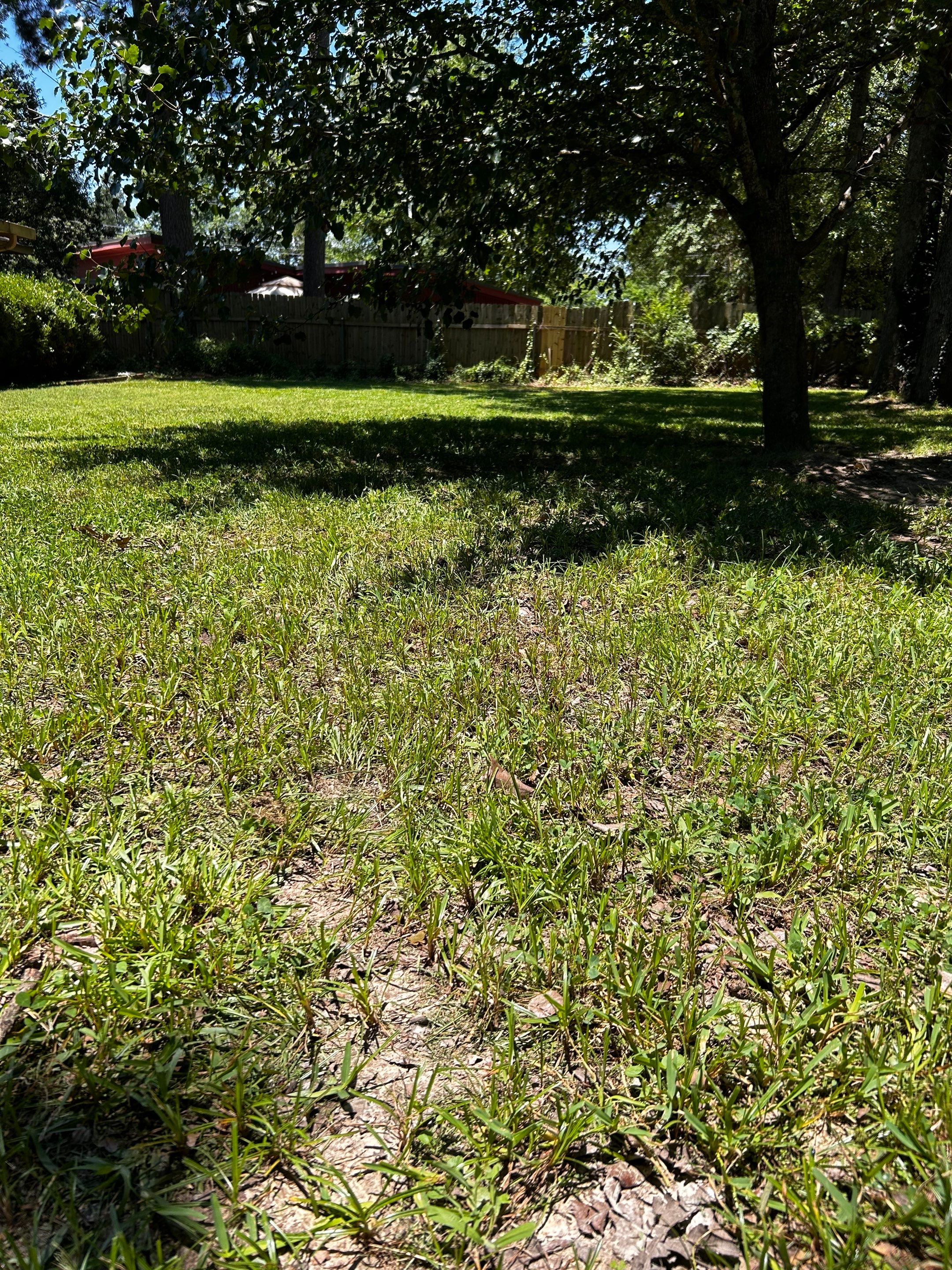 Bi Weekly Lawn Mowing and Edging by College Bros Outdoor services