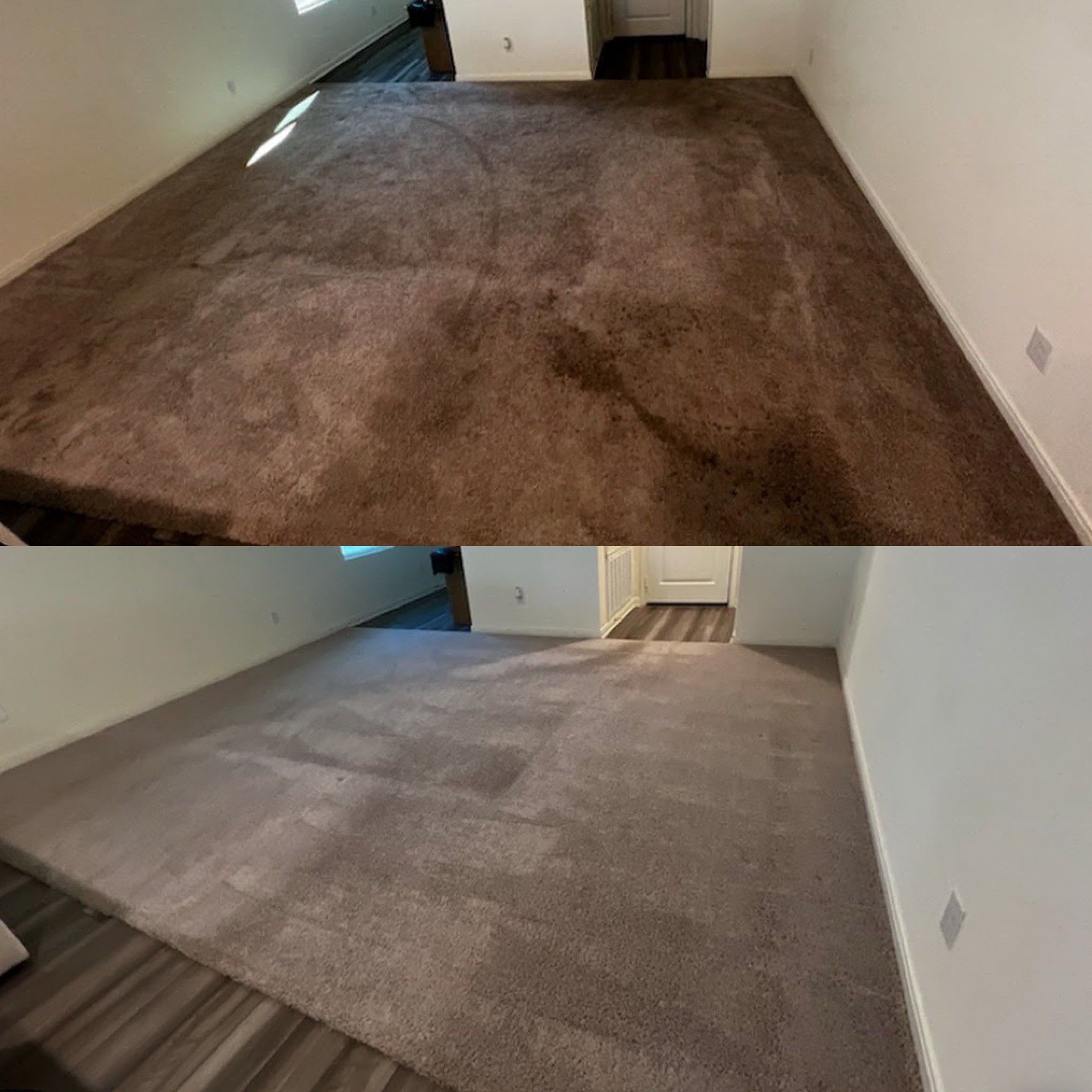 the service shown is thorough carpet cleaning removing stains and refreshing the fibers for a cleaner appearance