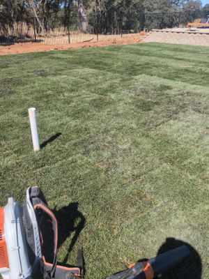 Project in Cameron Park