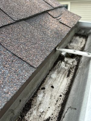 Turtle Shell gutter protection installation in Naperville, IL 60563, photograph 28