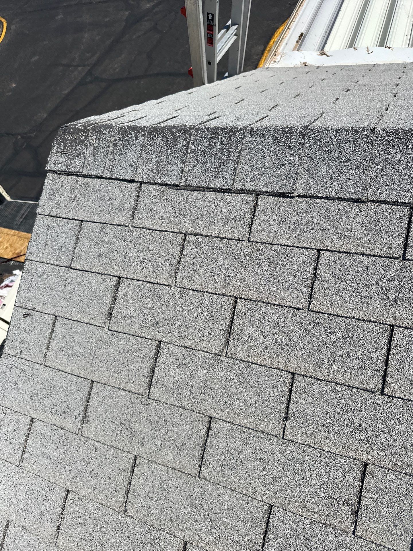 Silver Birch Shingles by Reimagine Roofing