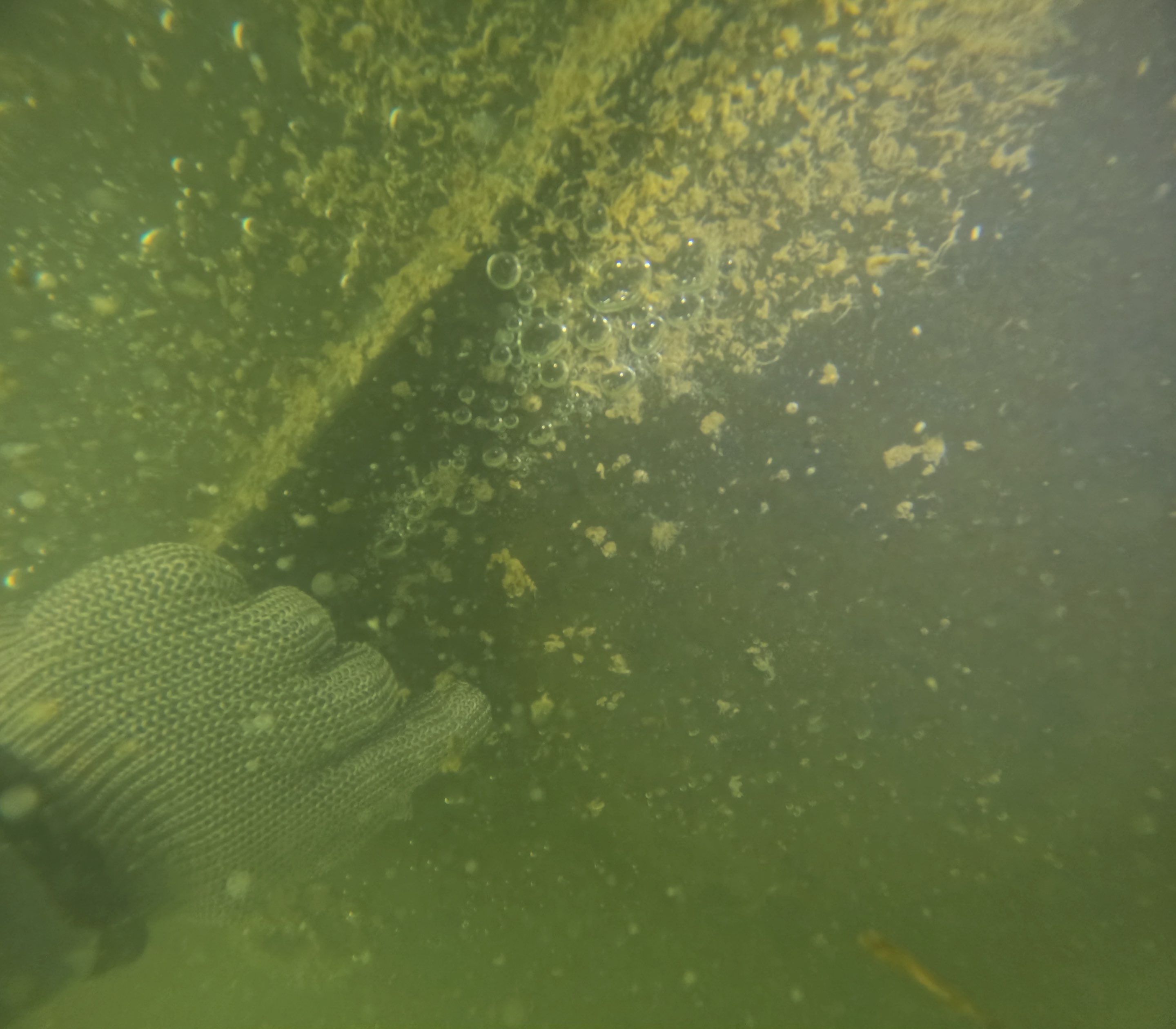 Project in Marco island, FL by Florida Hull Cleaning 