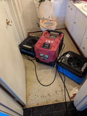 Emergency Service Water Damage After Bathroom Overflow