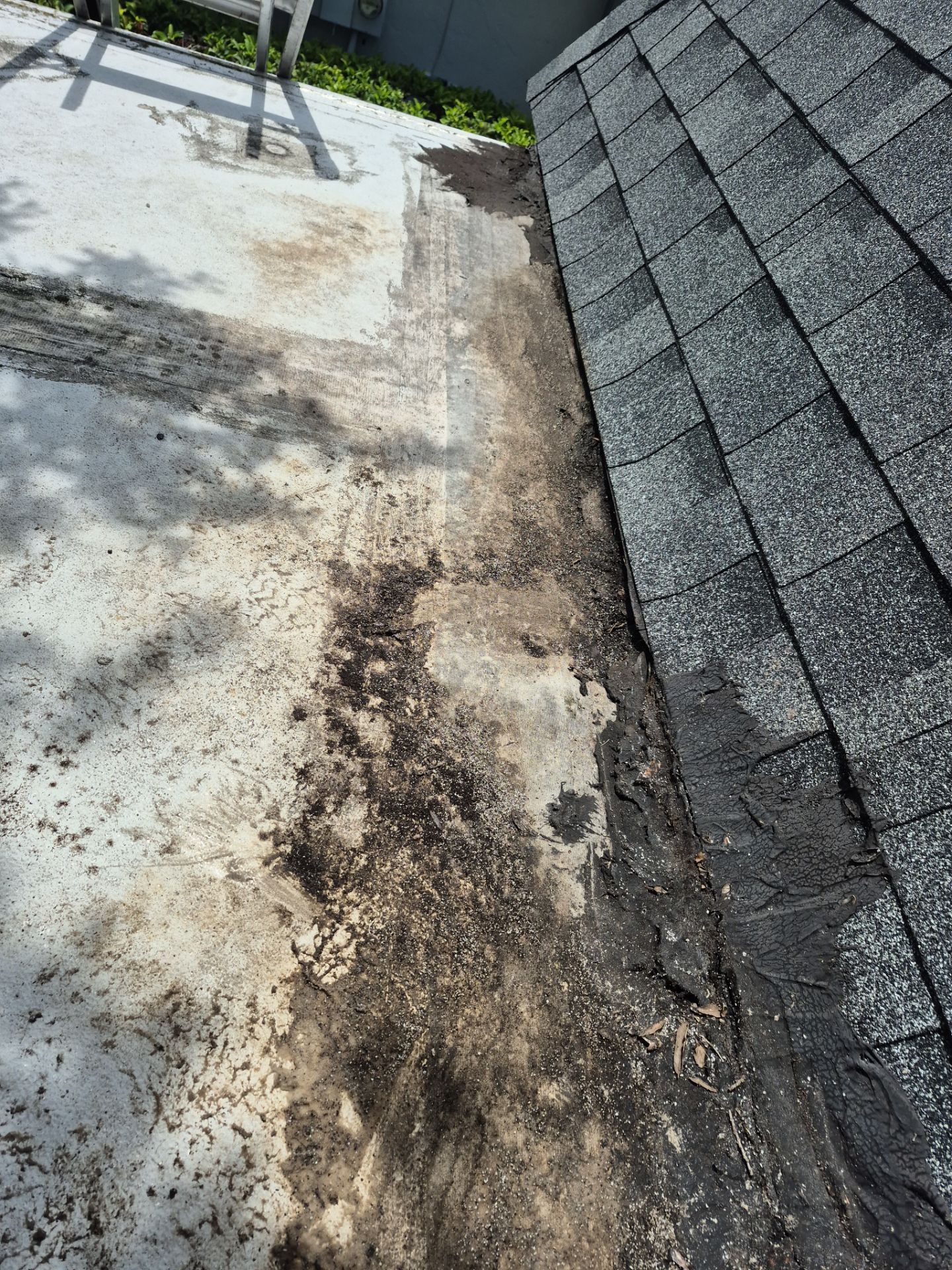 Project in Pinellas Park 33781 by Mitchell Roofing Company LLC