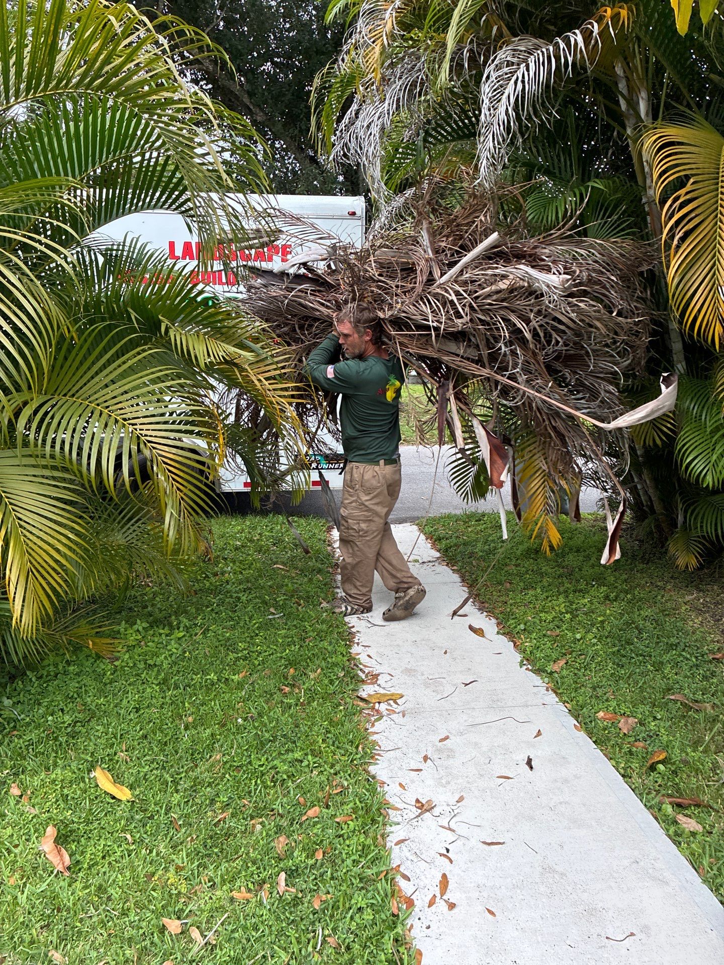 Alpha Zeta Landscaping featured photo.