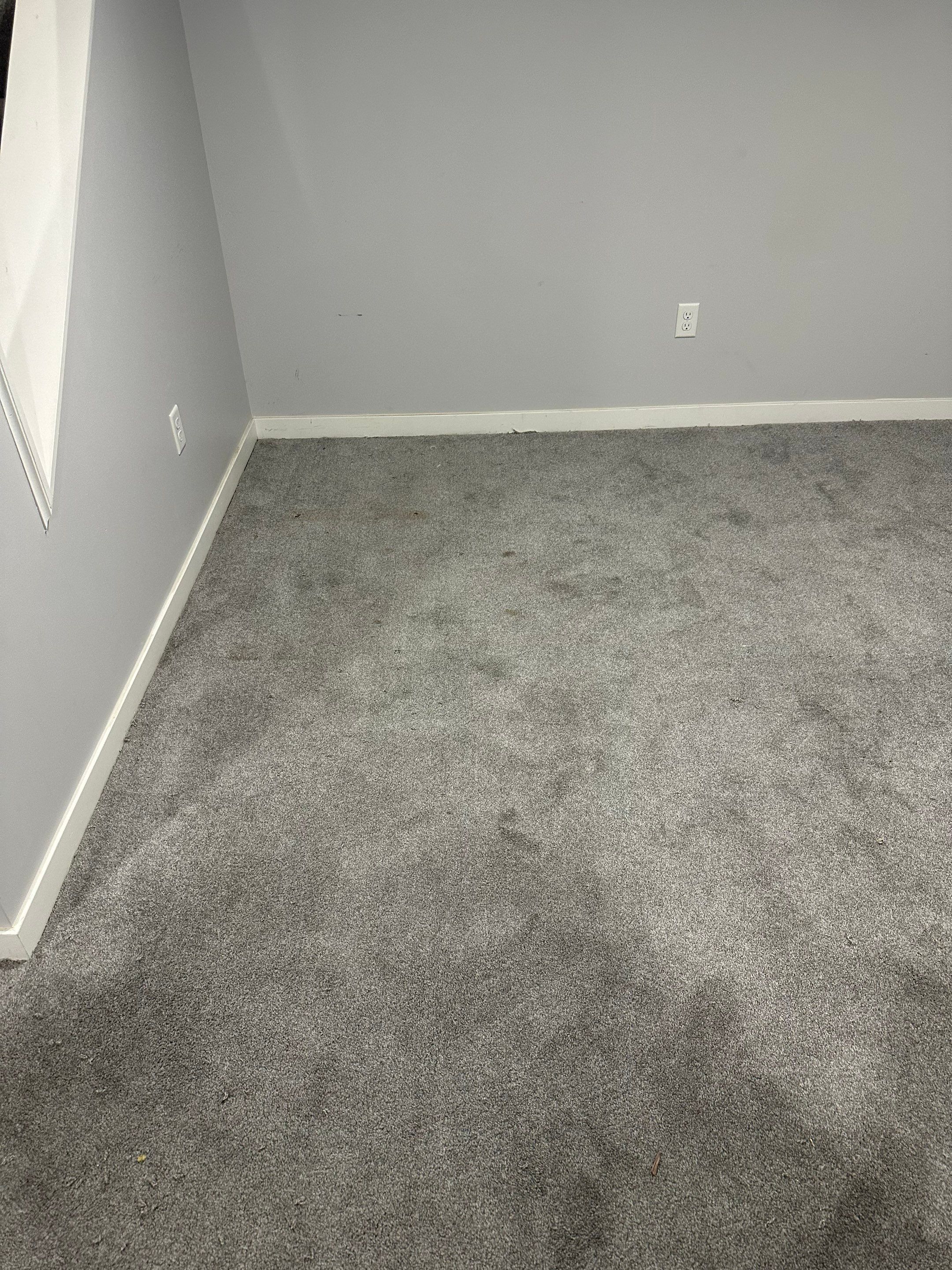 Basemen Oder removal with mold remediation and carpet pad replacement by BlueRed Restoration