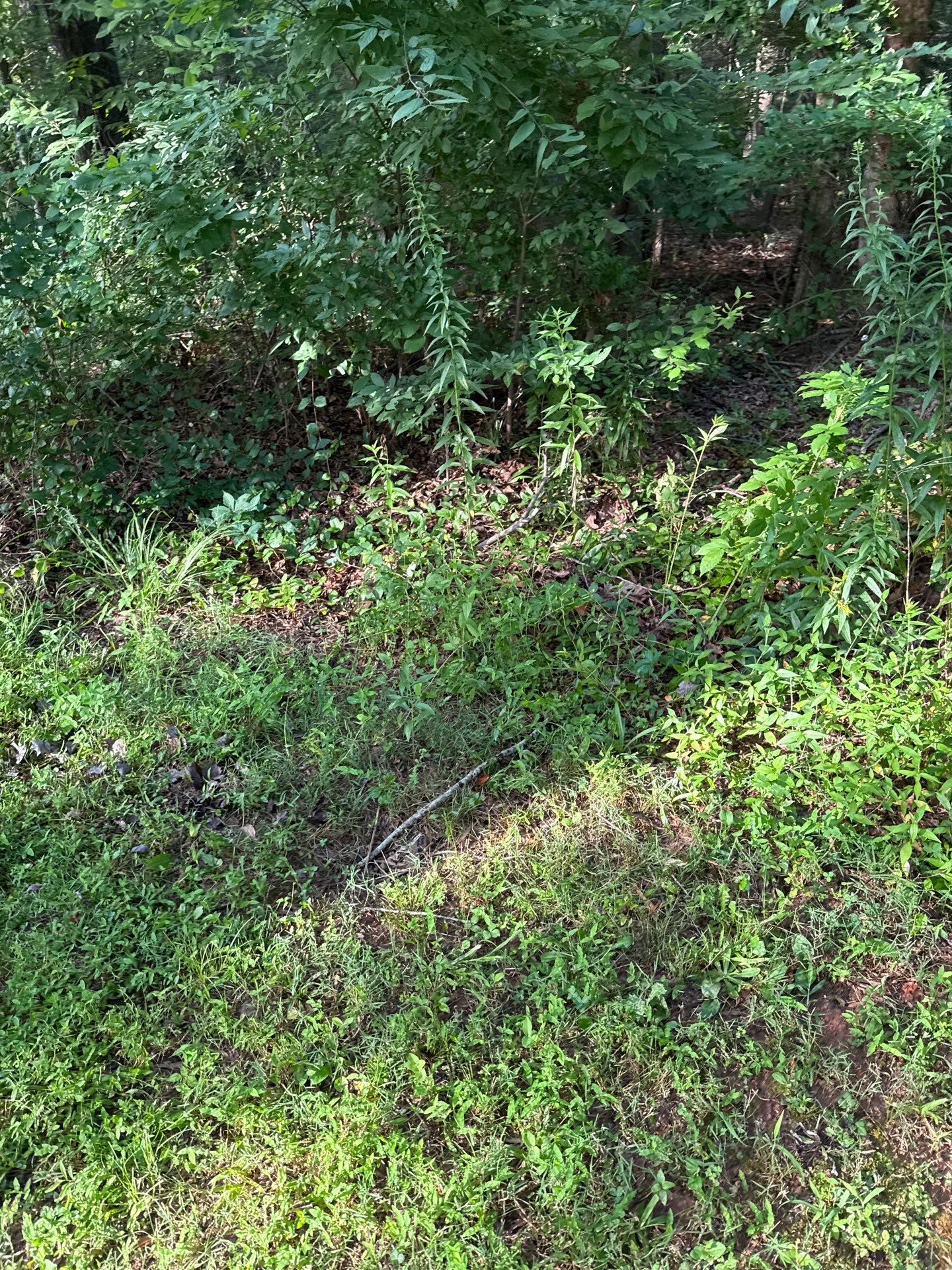 Project in Indian Trail by Badger Hauling