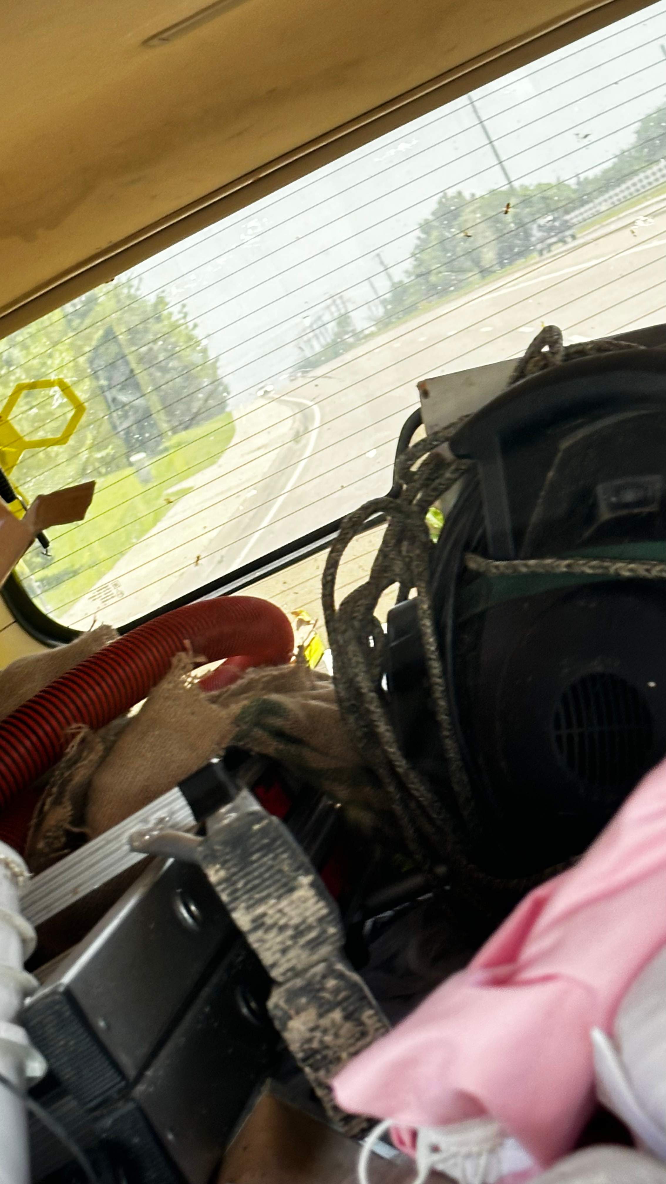 Swarm on a Branch by Rockwall Honey Bee Company