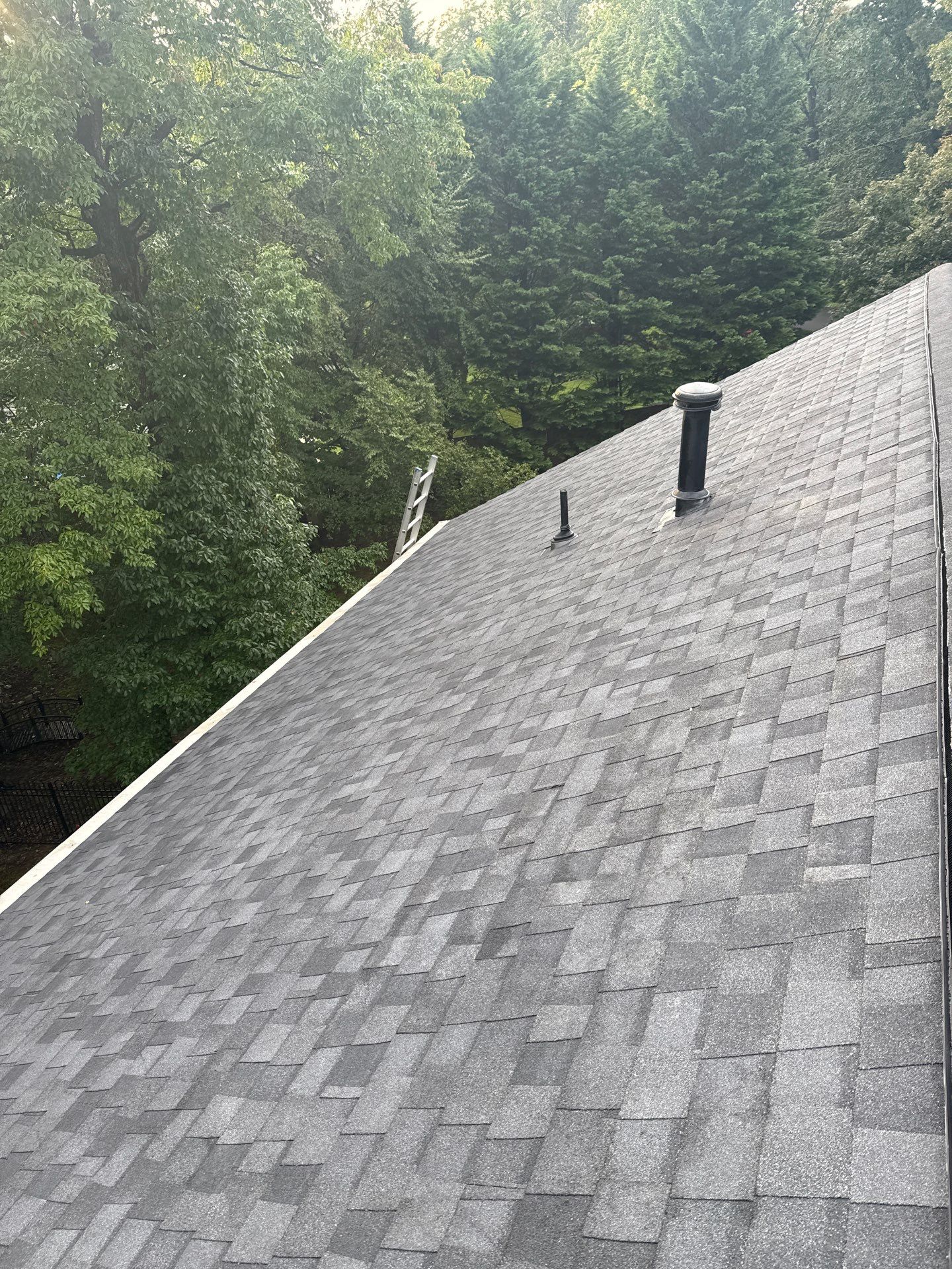 Lorton: Residential Roof with CertainTeed Landmark Pro in Max Def Moire Black by RM Banning, Inc.