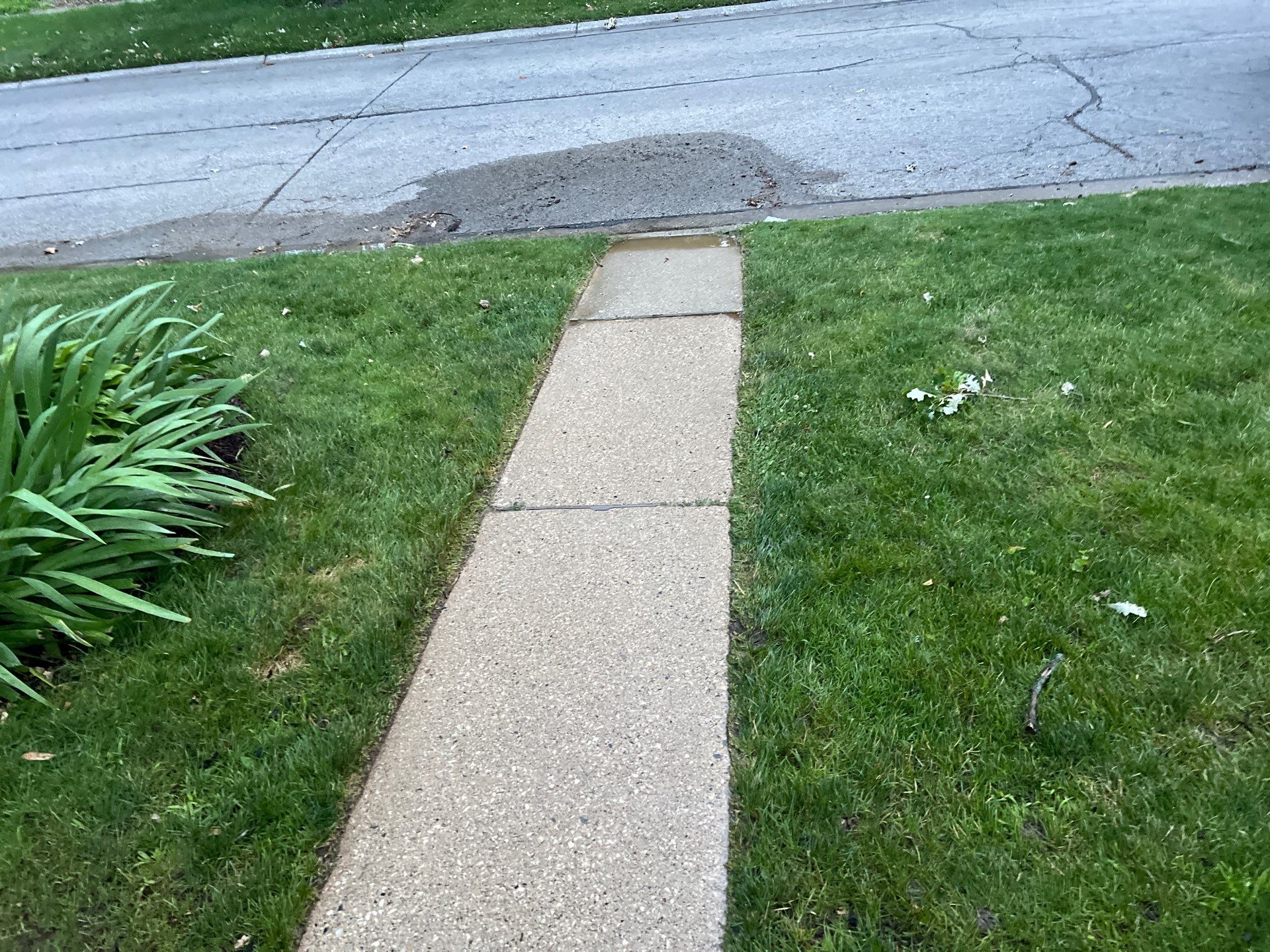 concrete cleaning using Algaecide, soft wash soap by Northern Power Washing LLC.