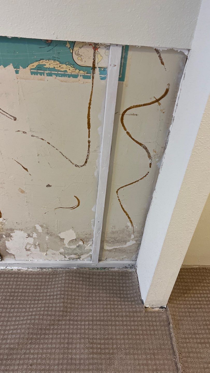 Mold Remediation by Accountable Home Services