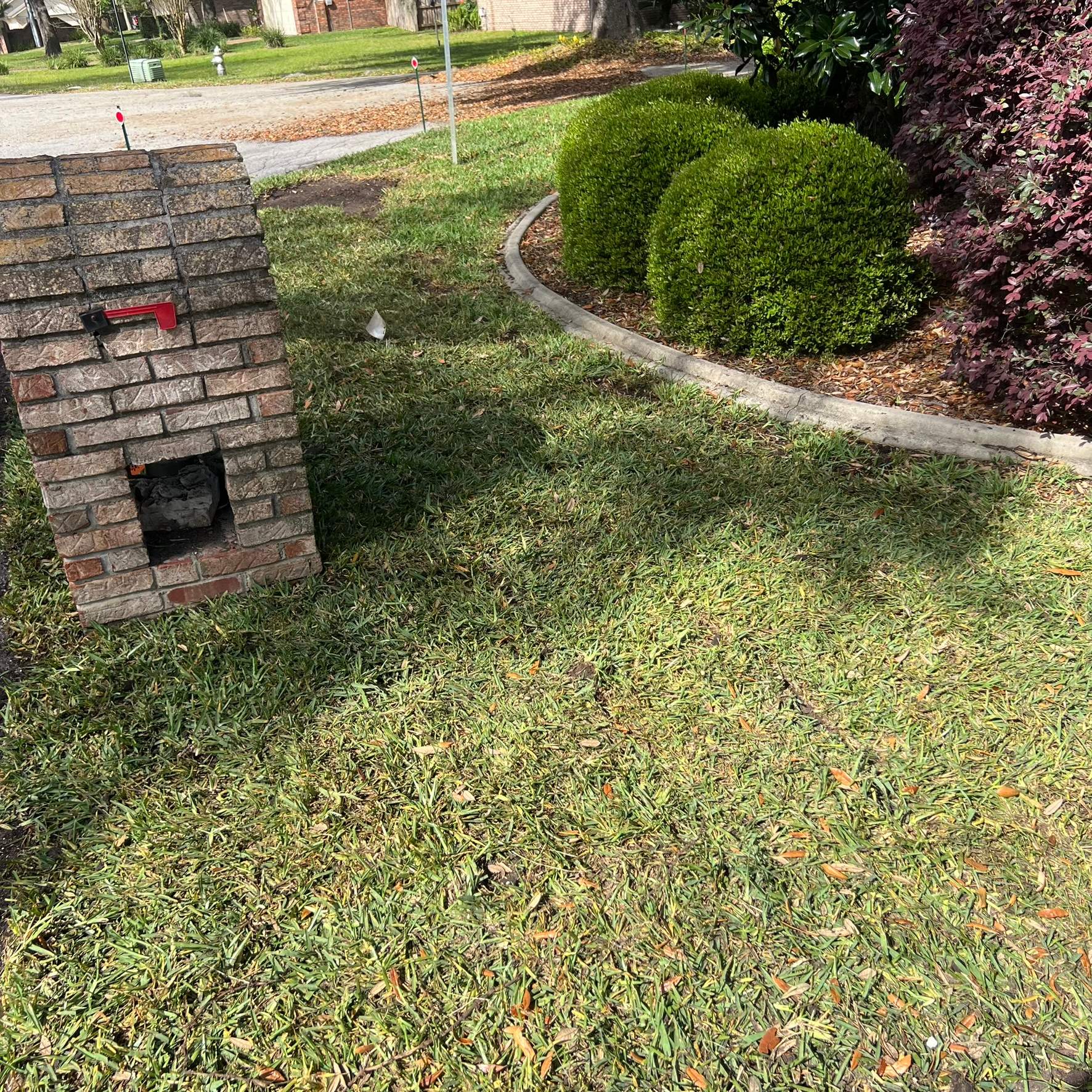 Sod Installation | Orange Park by ProGreen Services