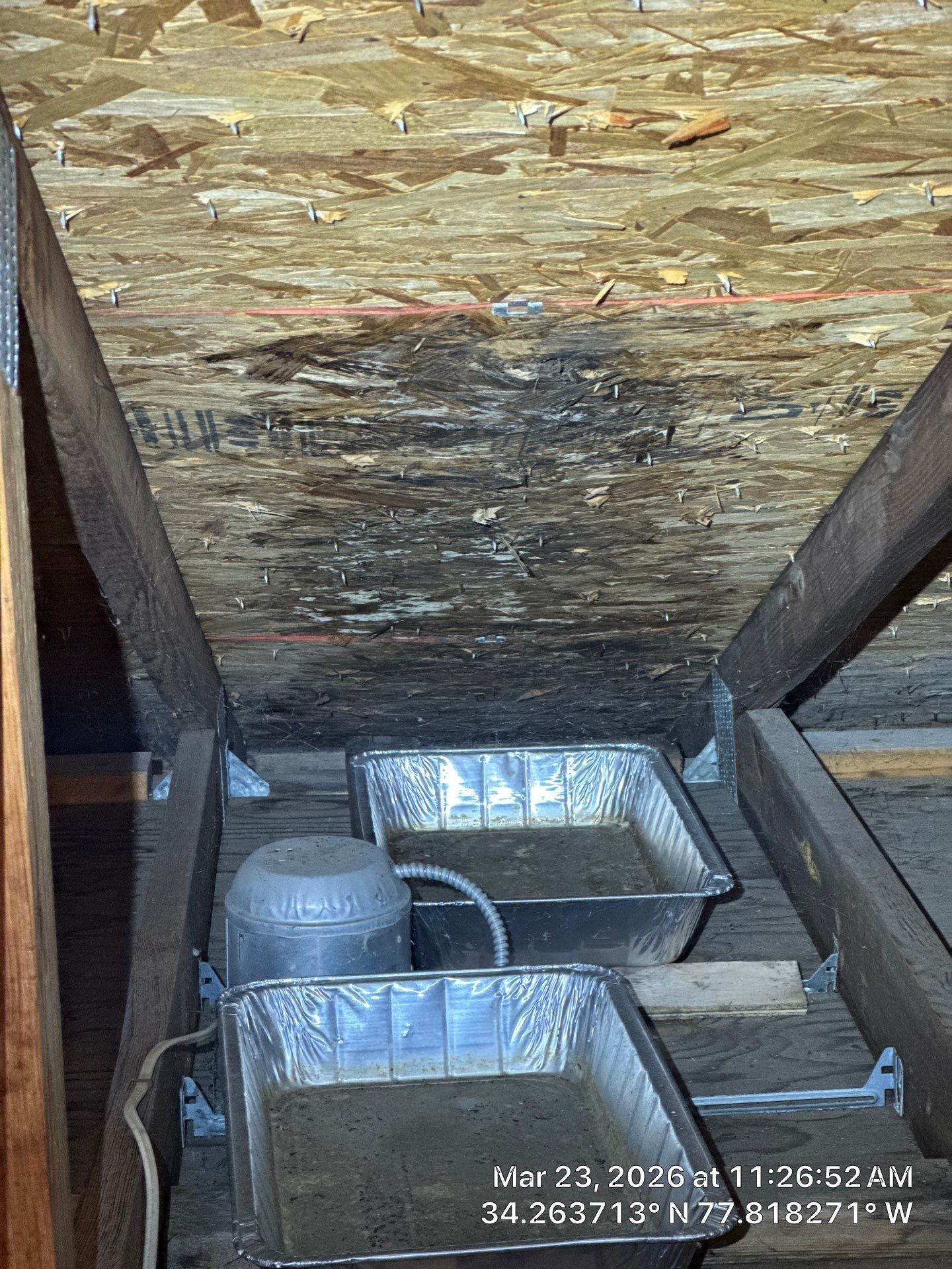 A 5-year-old roof that needed full replacement by North Carolina Roofs