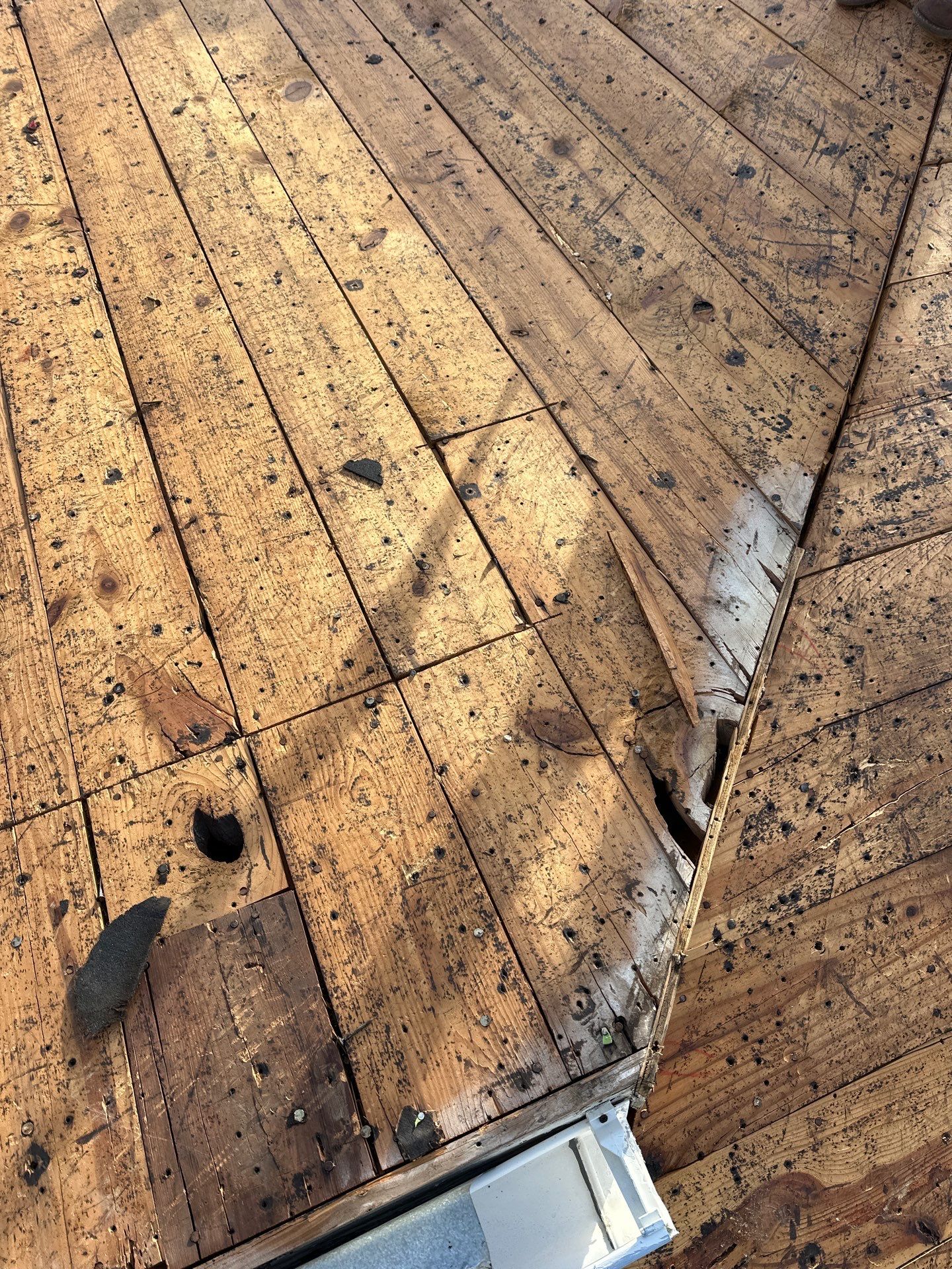 Roof Replacement in Speed Addition, Beasley TX by Roof Repair Company