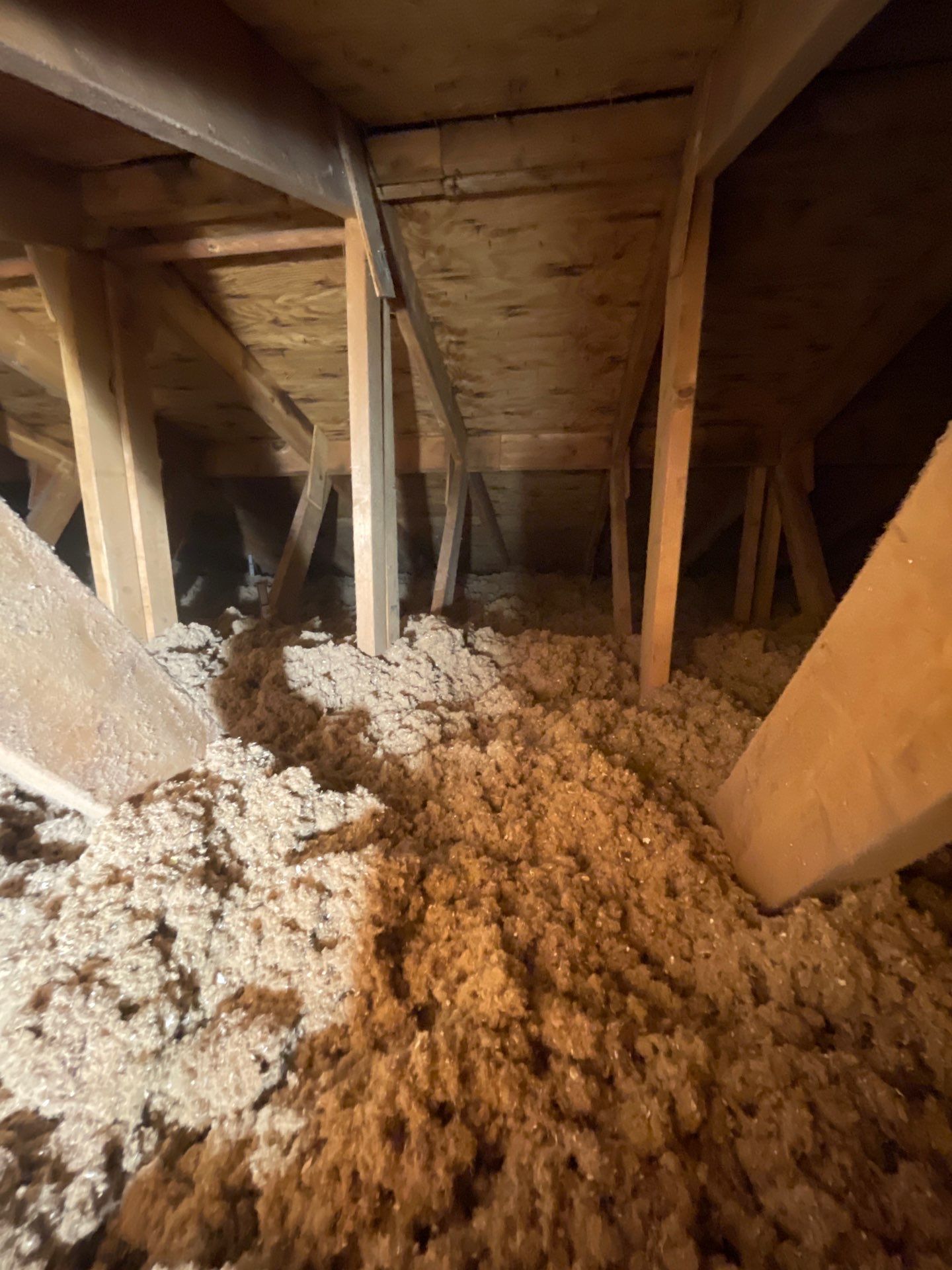 Attic Insulation using Green Fiber Sanctuary by NYS Foam & Energy