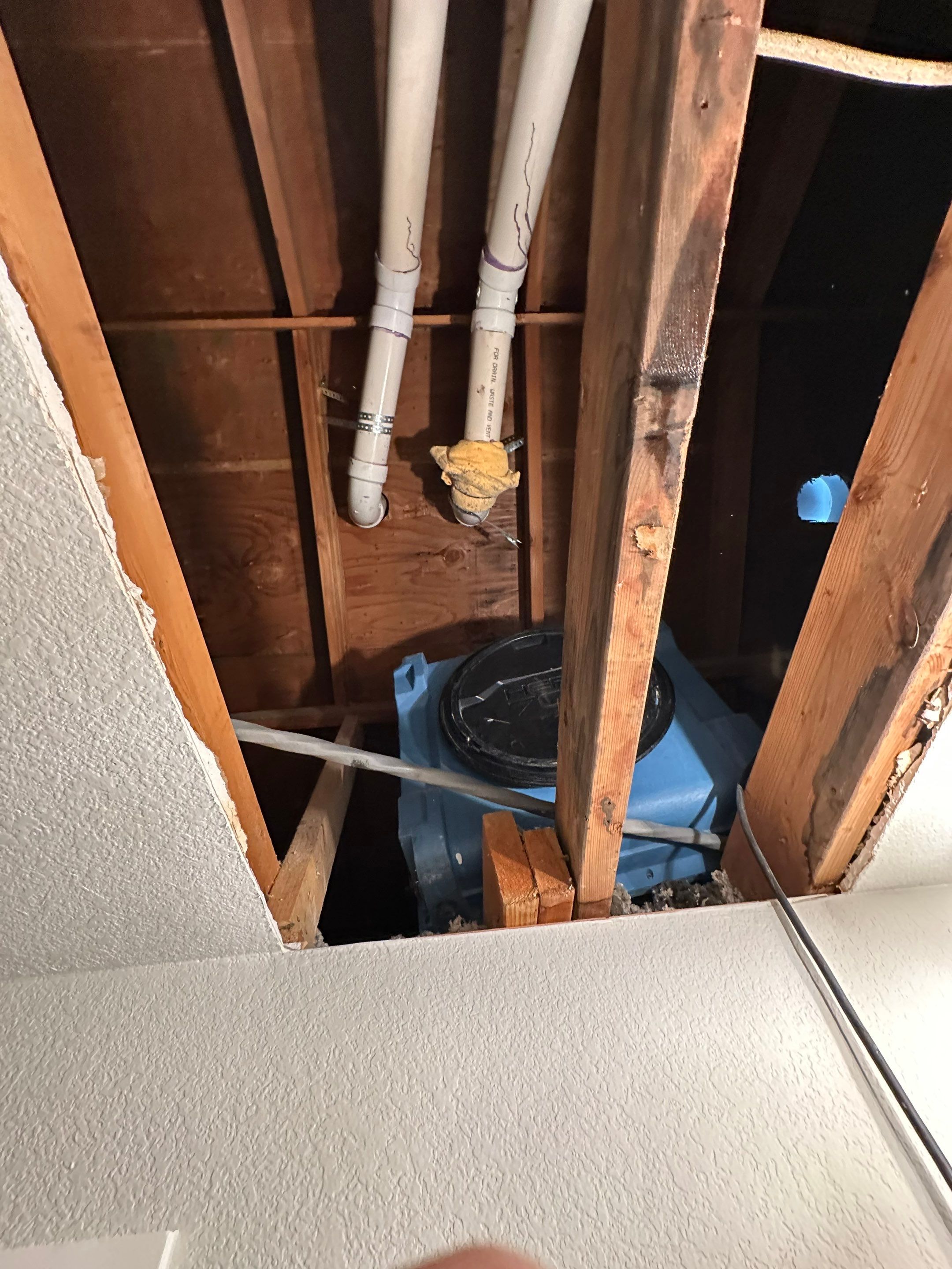 Mold in Crawl Space in Broomfiled, CO by Alpha Restoration 