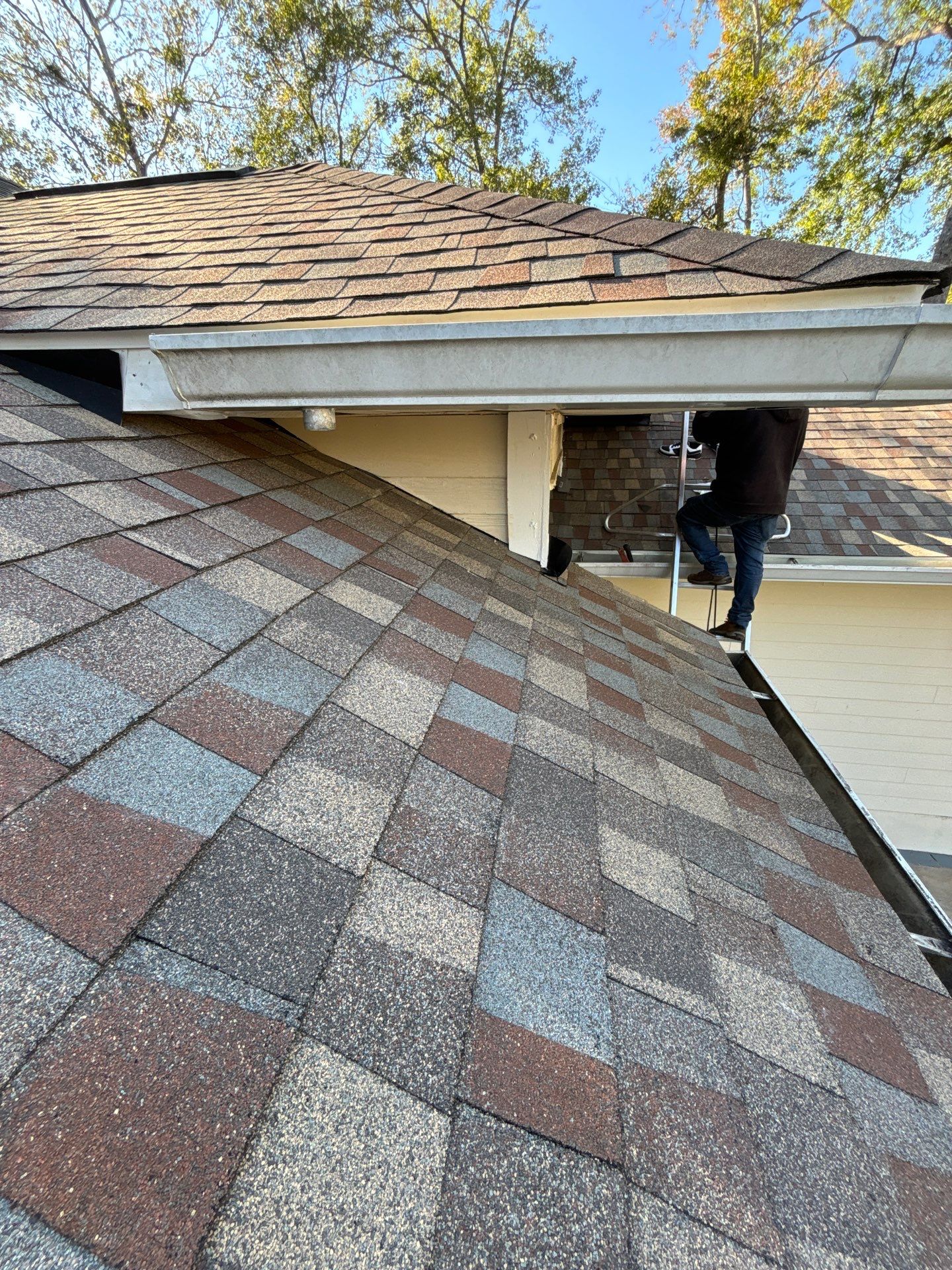 GAF HDZ - Golden Harvest by Linta Roofing