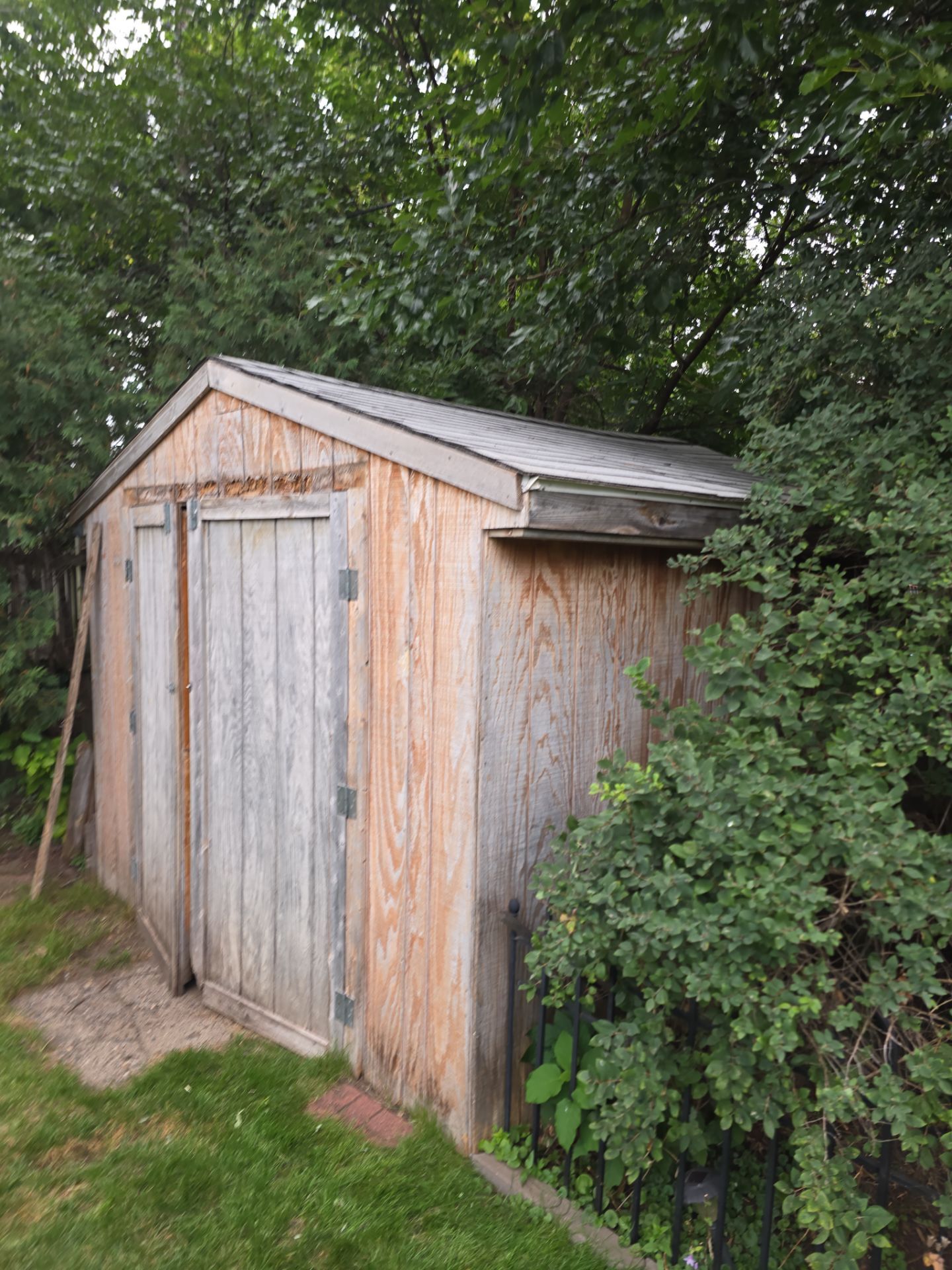 Shed Transformation – Roof & Exterior Upgrade by Johnny Five Construction 