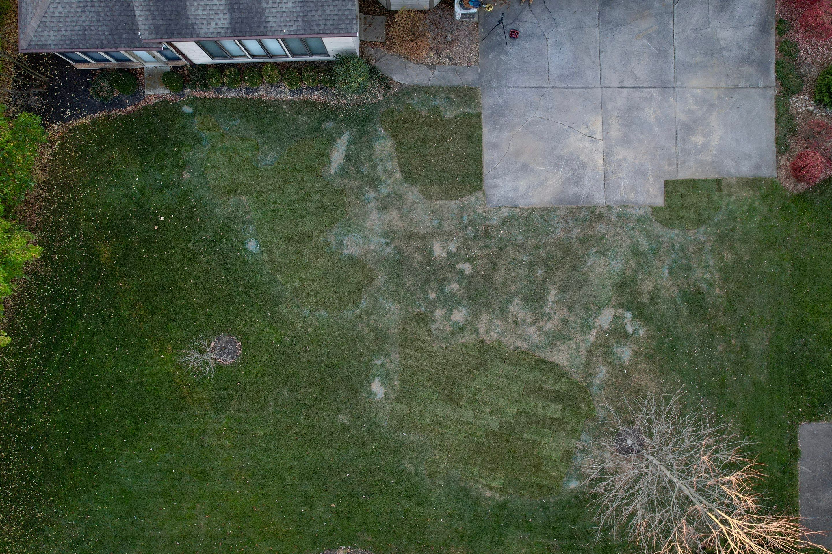 Turf Restoration using LEED Certified Sod by Reisenberg’s Lawn & Landscape, LLC