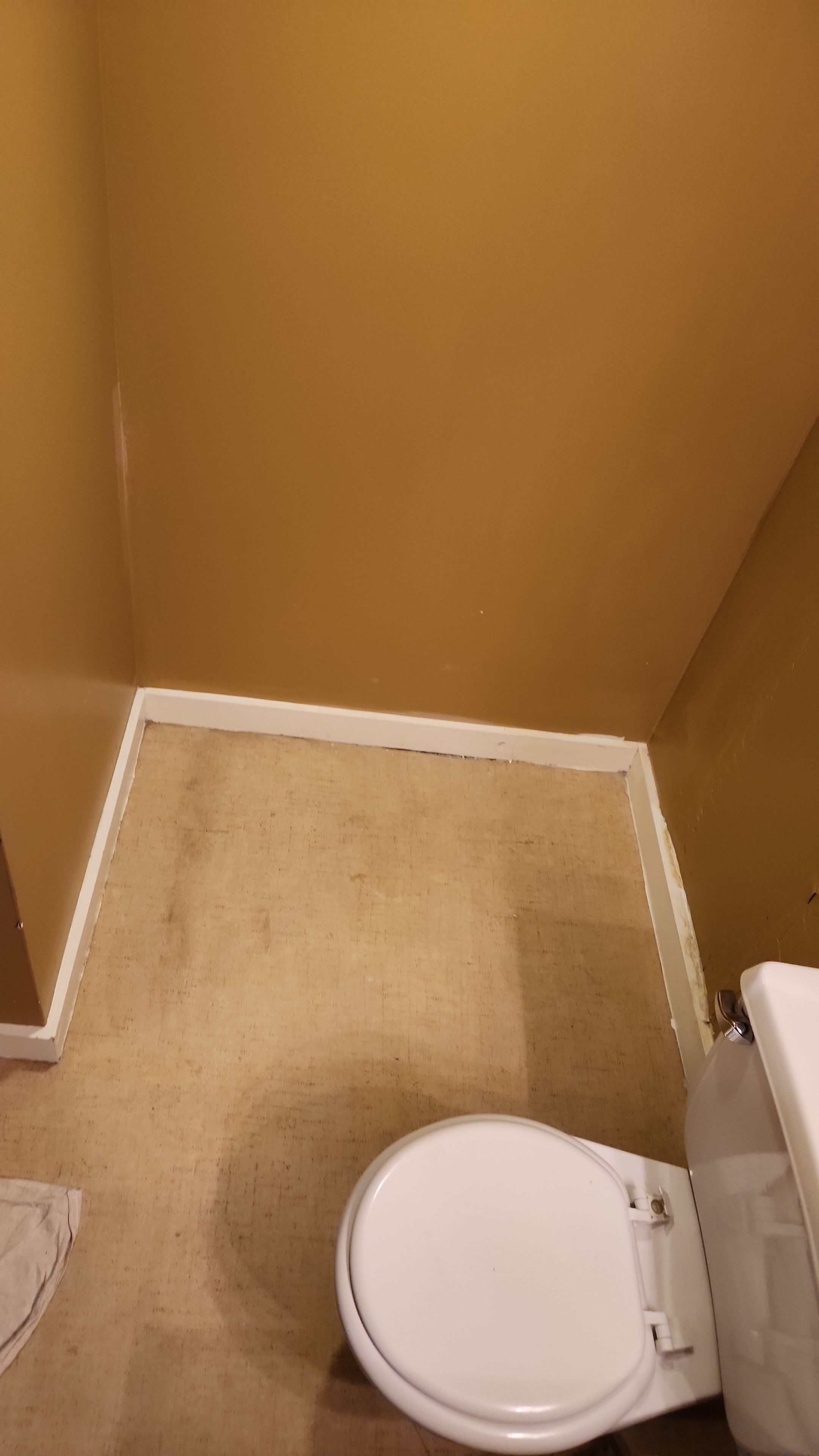 Condo shower by The Shower Company