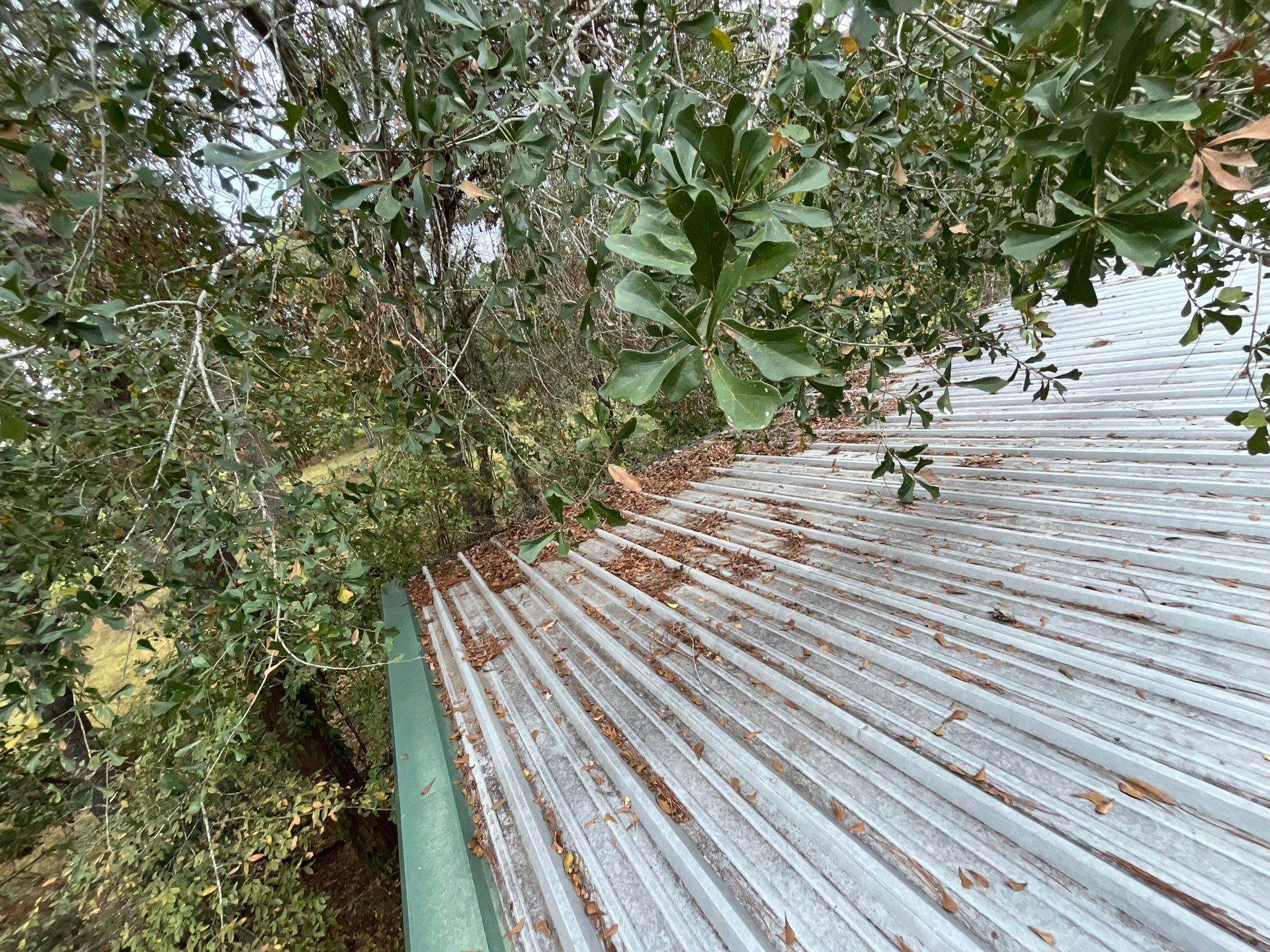 Metal Roof Coating by Roof Concepts Construction