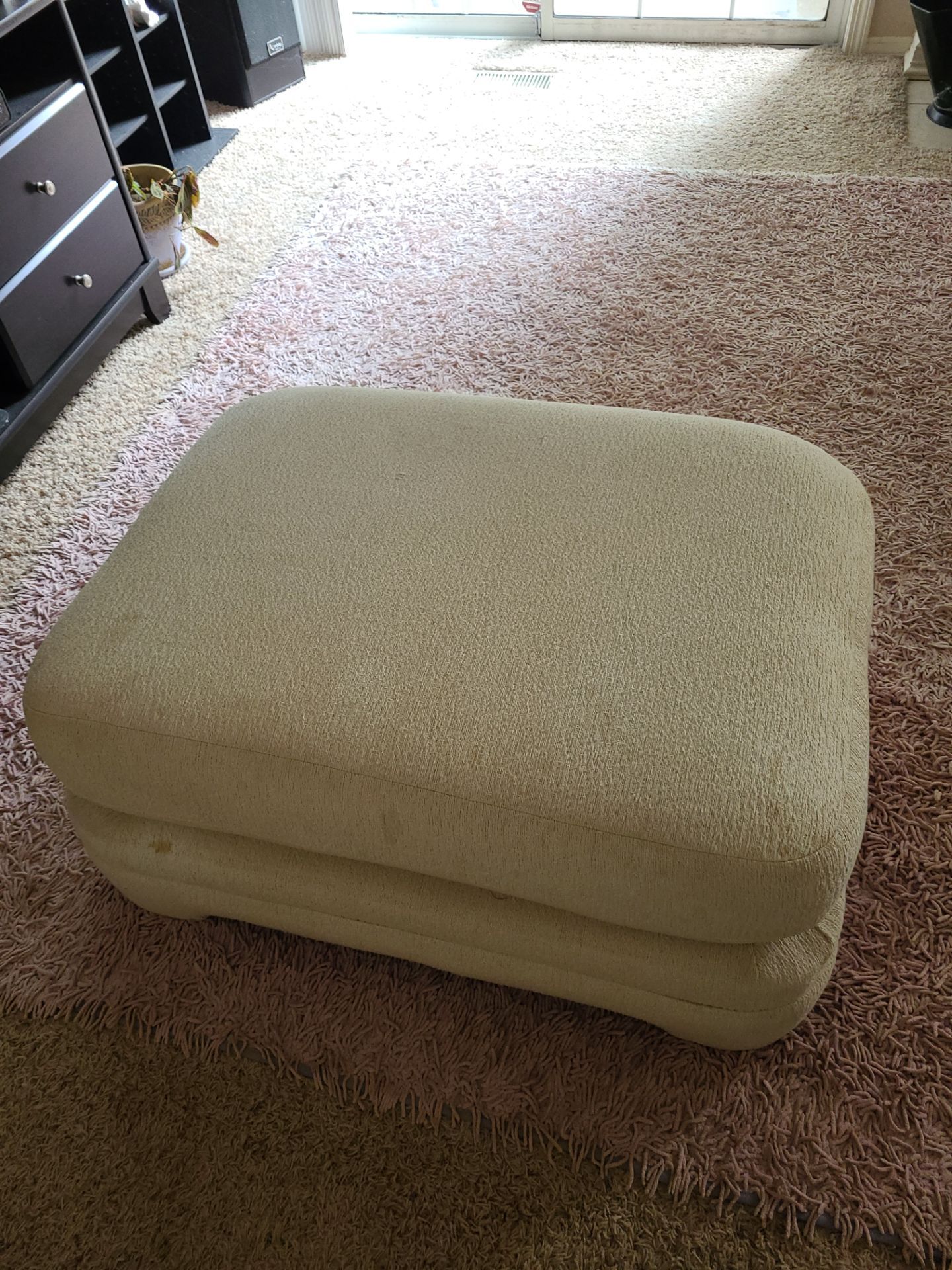 Carpet and upholstery cleaning Project in Lake OSwego by Cloud 9 Professional Cleaning Services