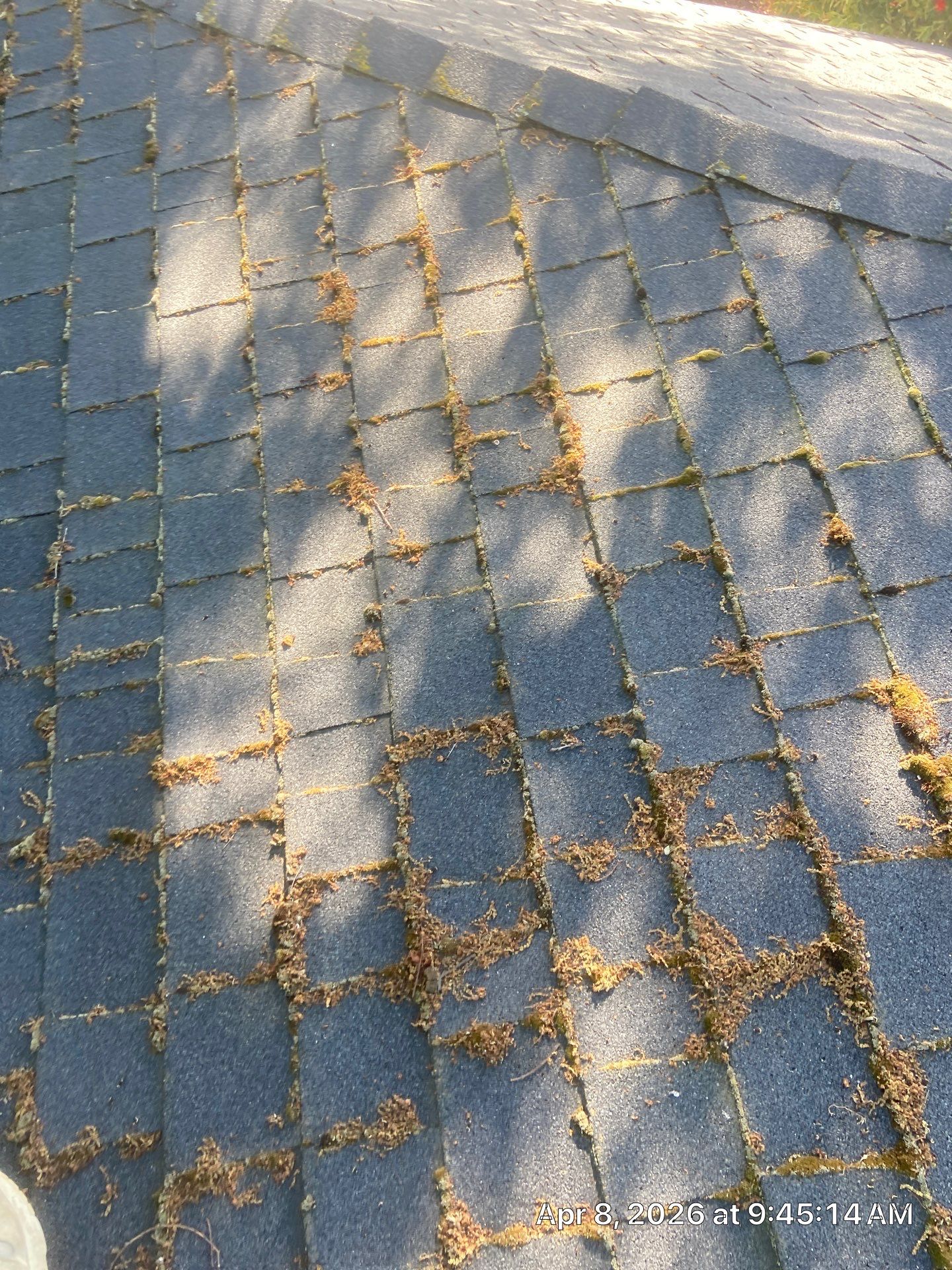 Roof Rejuvenation using Roof Maxx Treatment by Roof Maxx of Folsom