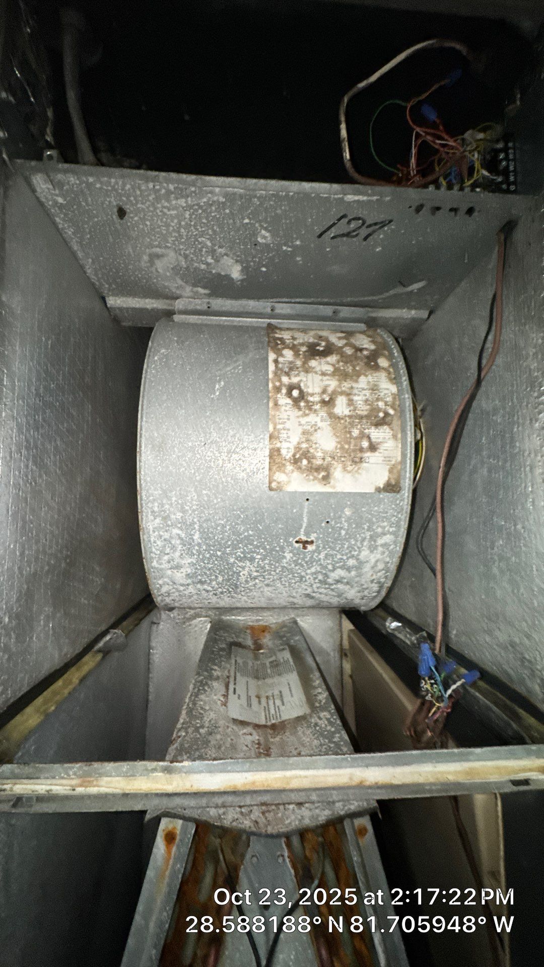 AIr Duct and Dryer Vent Cleaning in Montverde by Hygienic Air, Inc