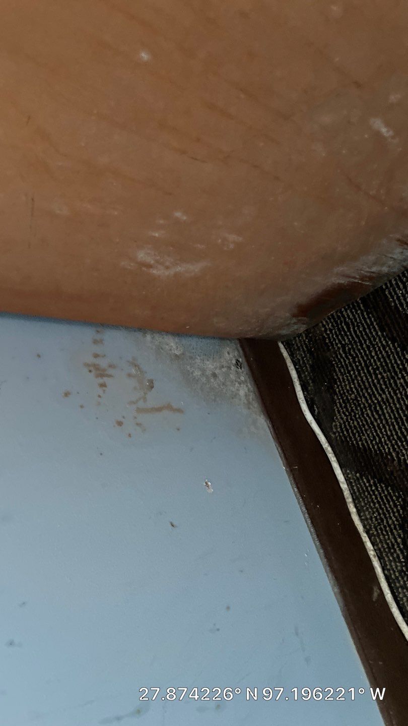 OH No, OYO! by Bayfront Roofing and Construction