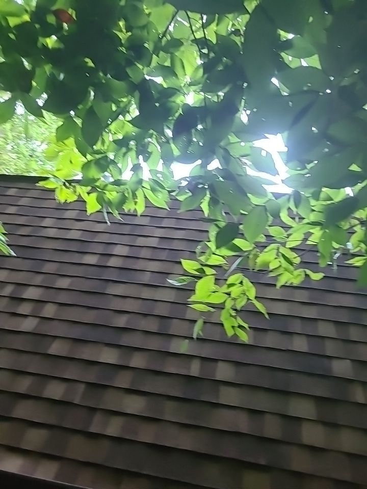 Fairfax Station: CertainTeed Landmark Pro Designer Shingles in Max Def Resawn Shake by RM Banning, Inc.