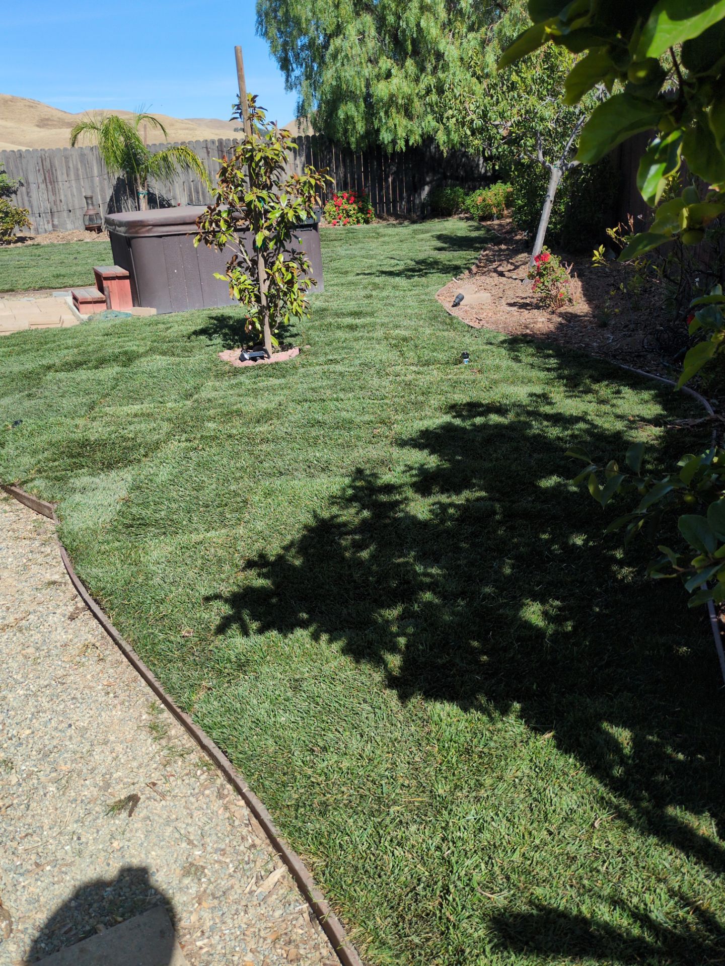 Project in Antioch by A - G Sod Farms