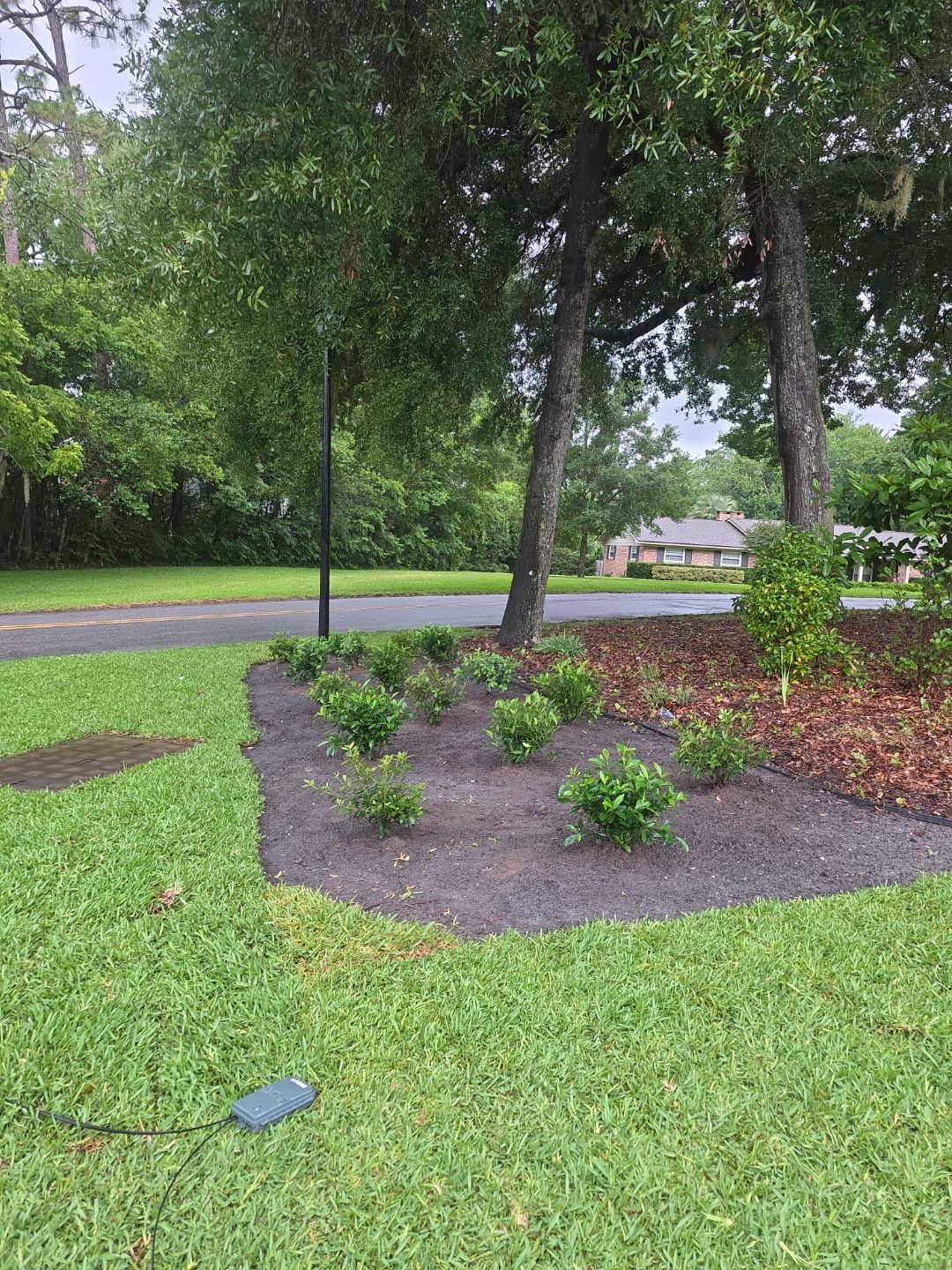 Deerwood Resident | Sod & Plant Install by ProGreen Services