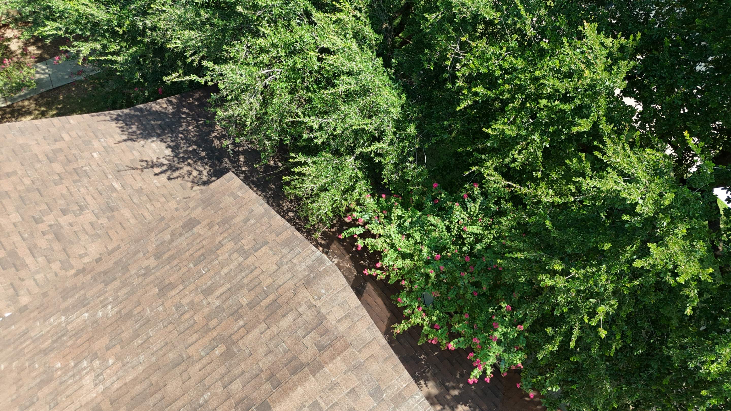 Antique Brown - Malarkey Vista by RoofsOnly.com