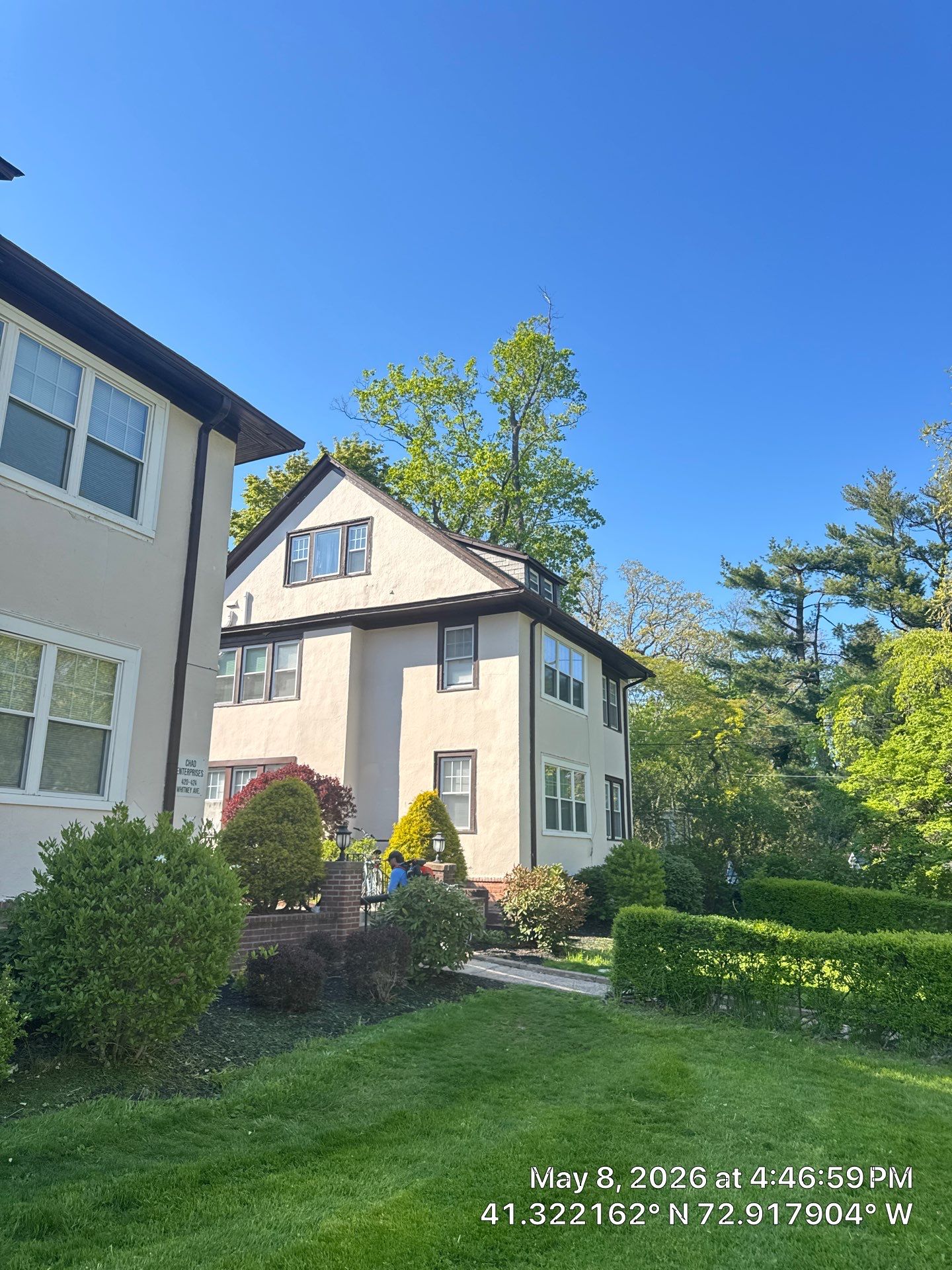 Residential Lawn Care and Hedge Trimming in New Haven by Diamond Image LLC