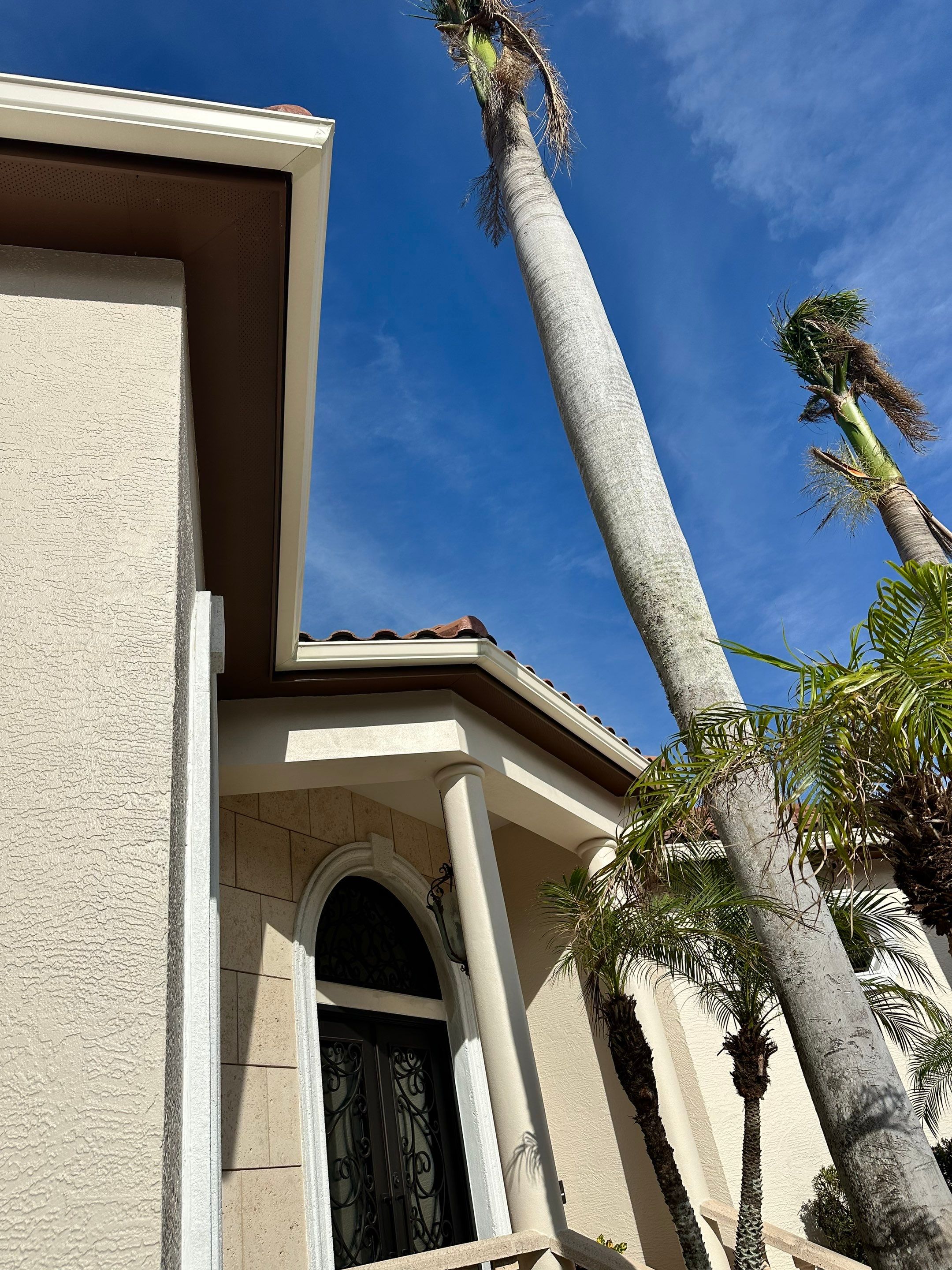 Cameo Finish Gutters for Luxury Homes  by Gutter Professors