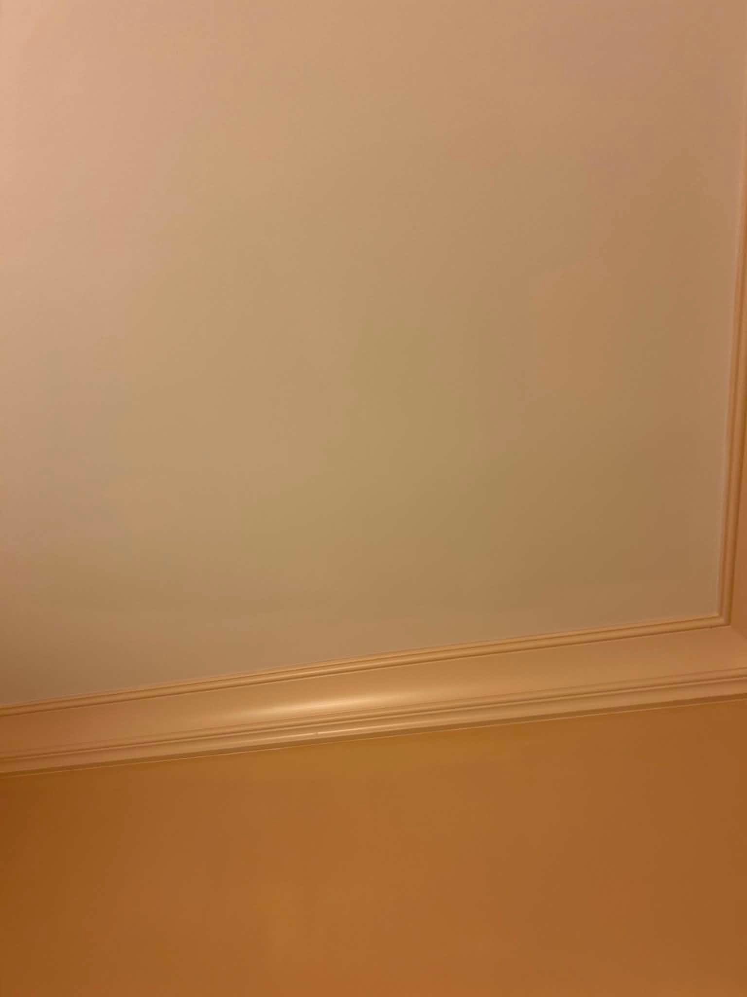 Interior Ceiling Painting & Drywall Repairs by PGP Surface Solutions, LLC