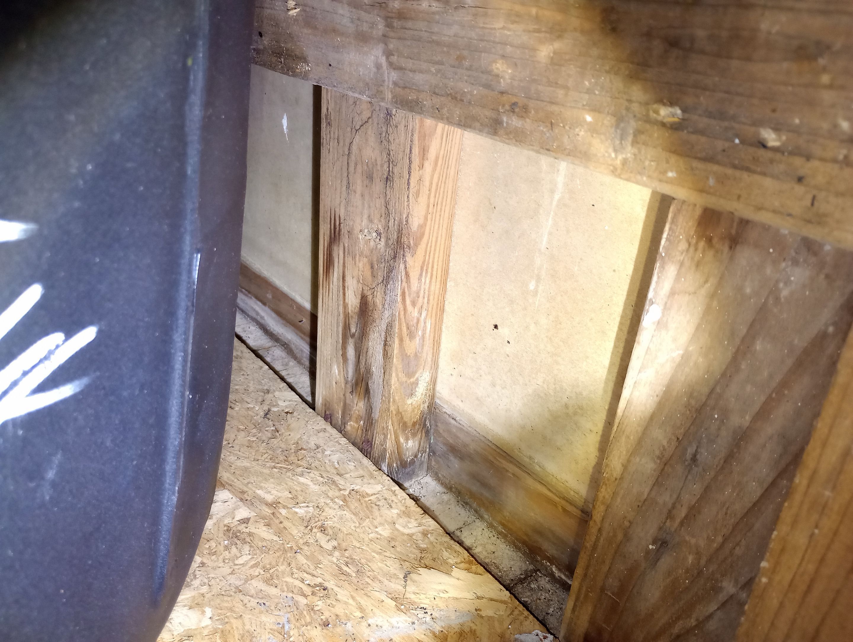 Mold Remediation Estimate in Crawlspace by ANR Restoration