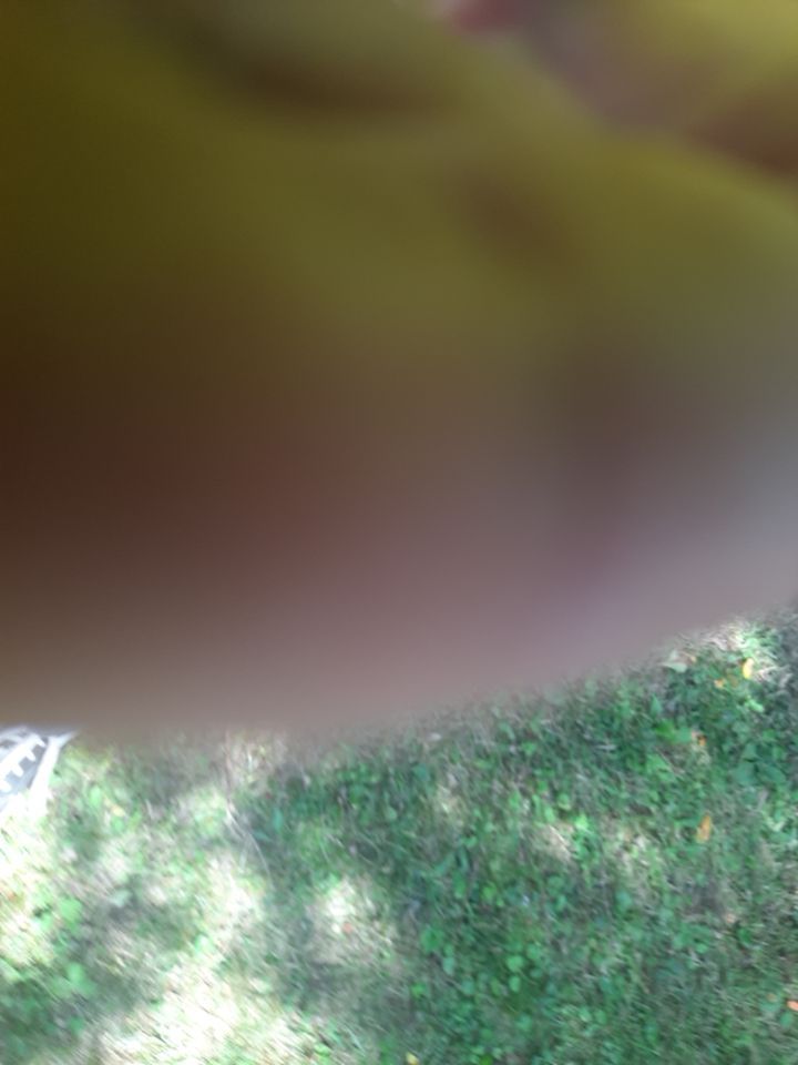 Tree Removal using Tree Removal by Mike Jones & Sons Tree Service LLC 