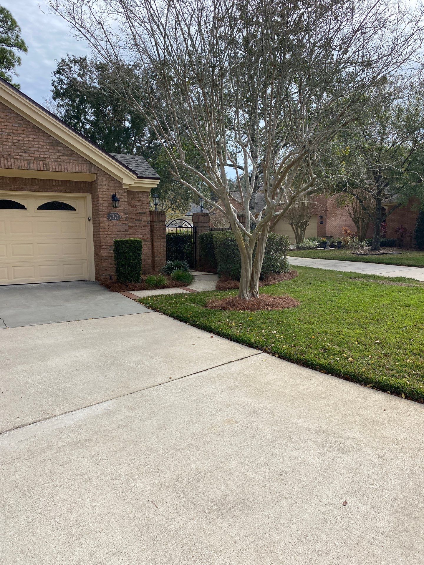 Deerwood Pointe | Tree Removal & Pine Straw Installation by ProGreen Services