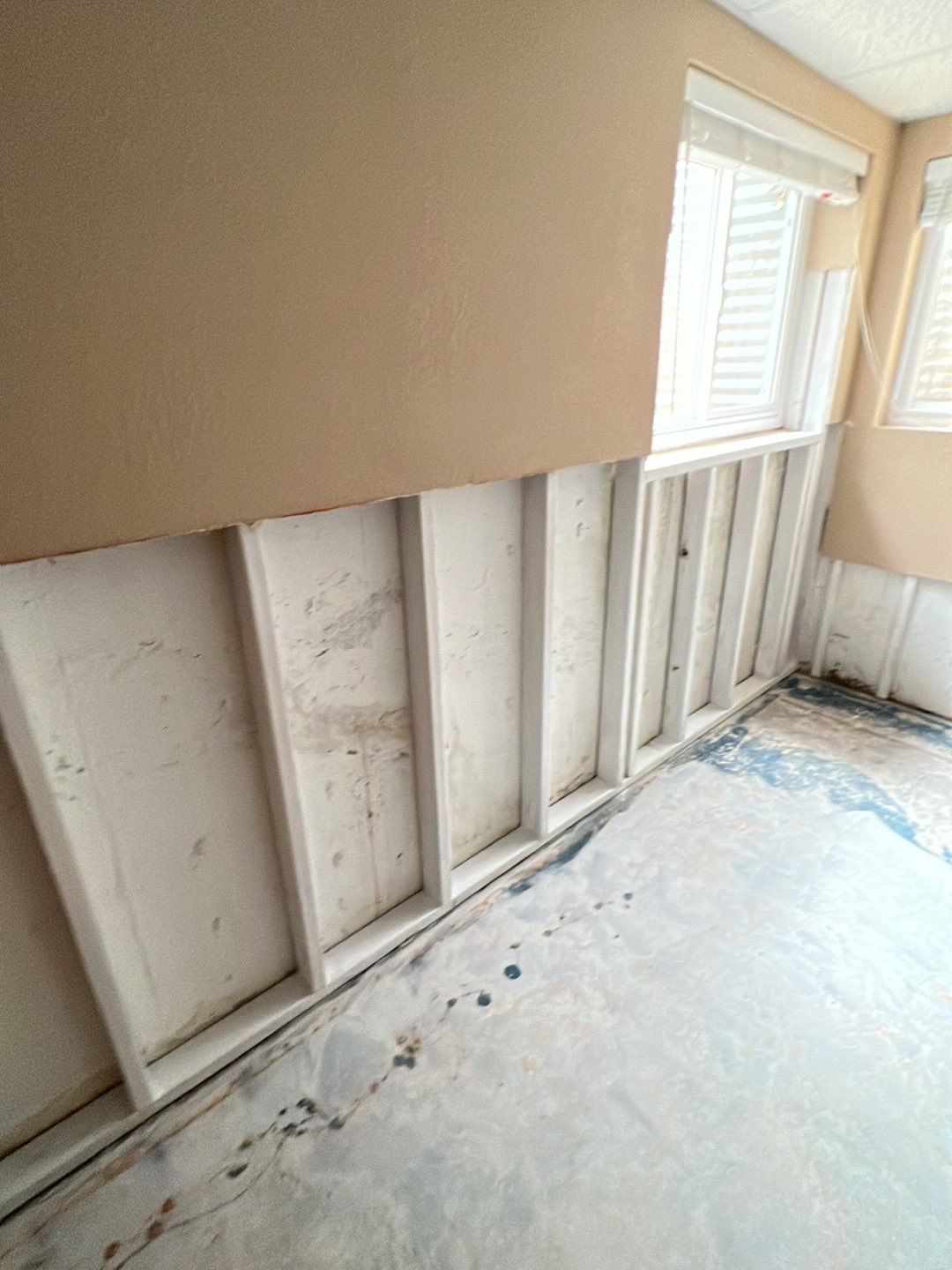 Mold Damage by Accountable Home Services