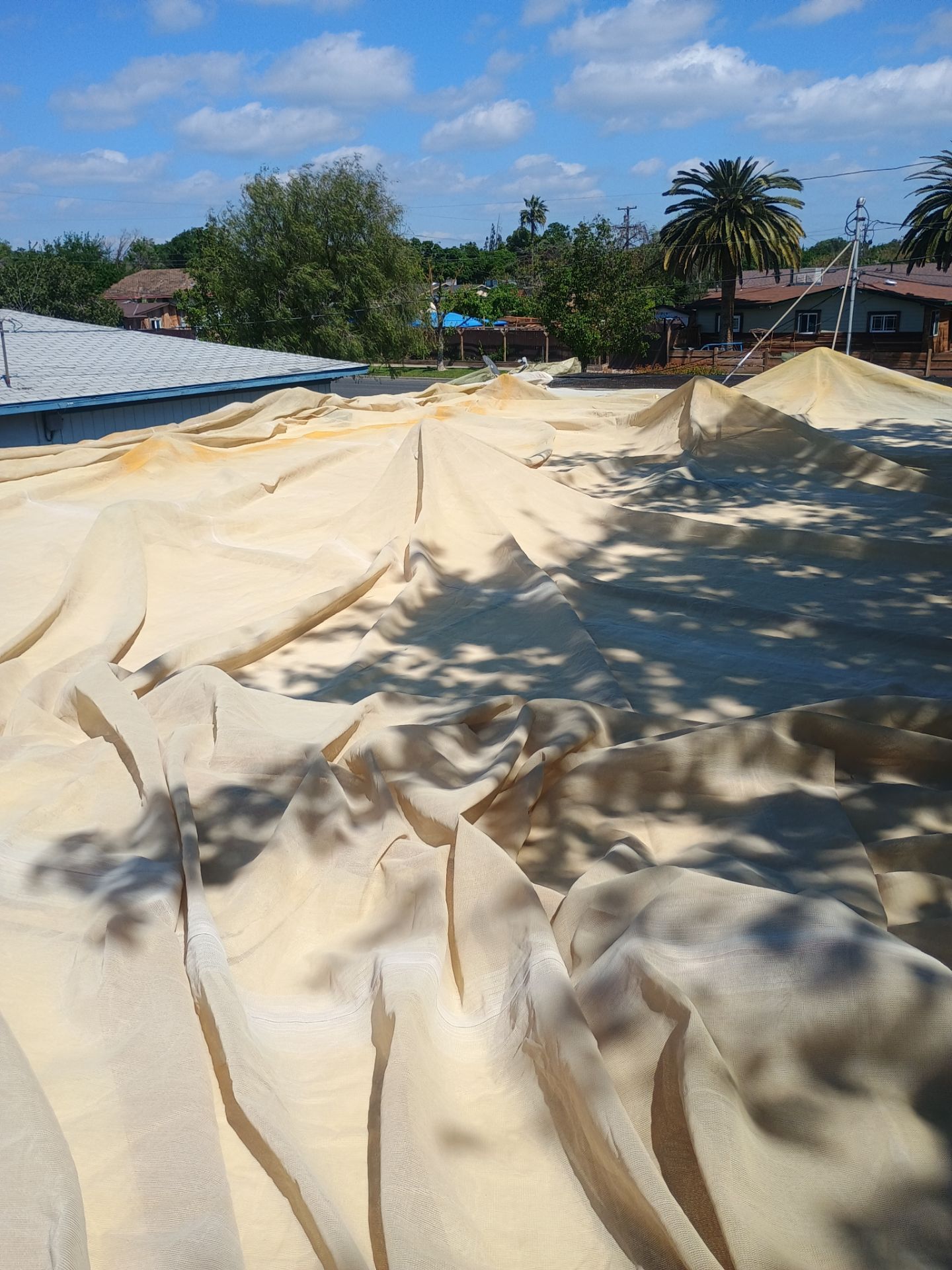 Foam Refurbish using Conklin Benchmark/PUMA XL coatings and spray foam by Straight Edge Roofing Inc